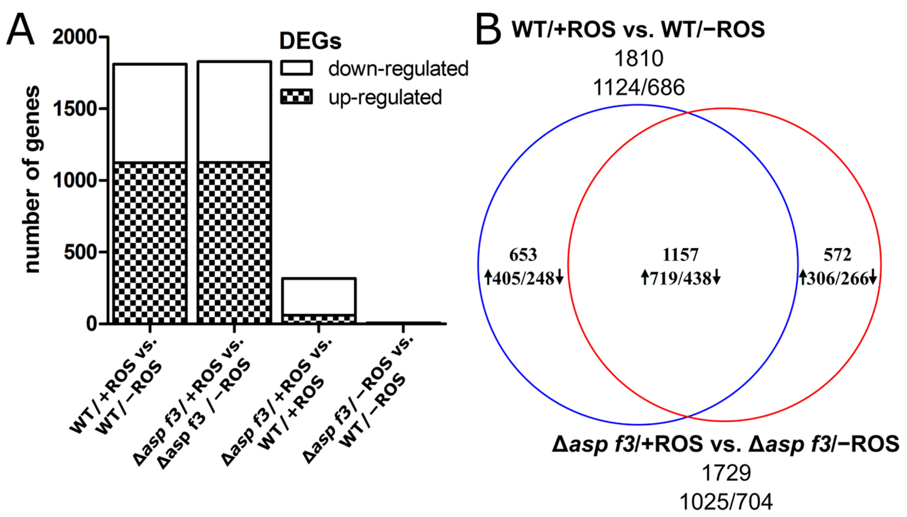 Genes 12 00668 g002 Genes 12 00668 g002