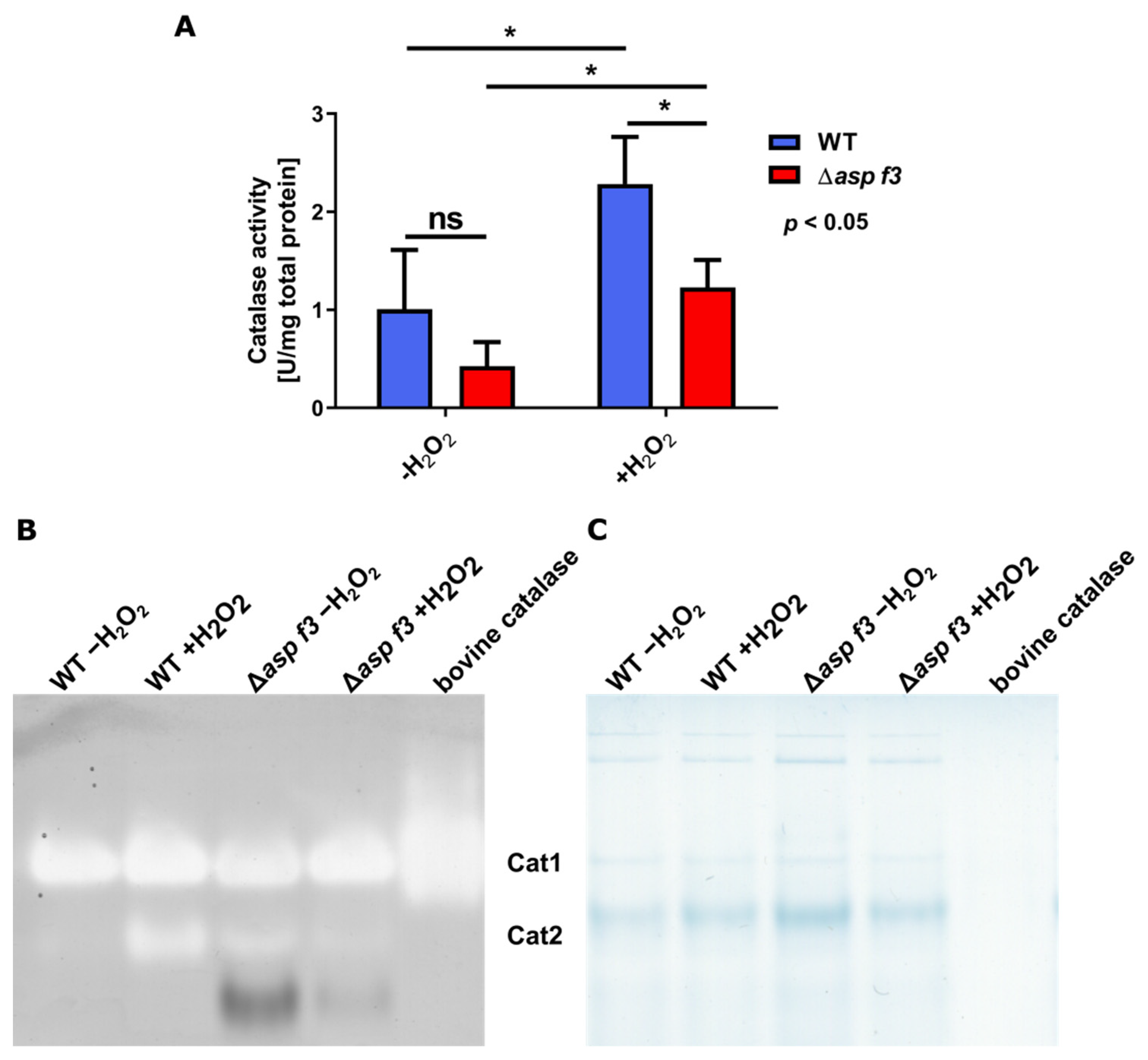 Genes 12 00668 g004 Genes 12 00668 g004