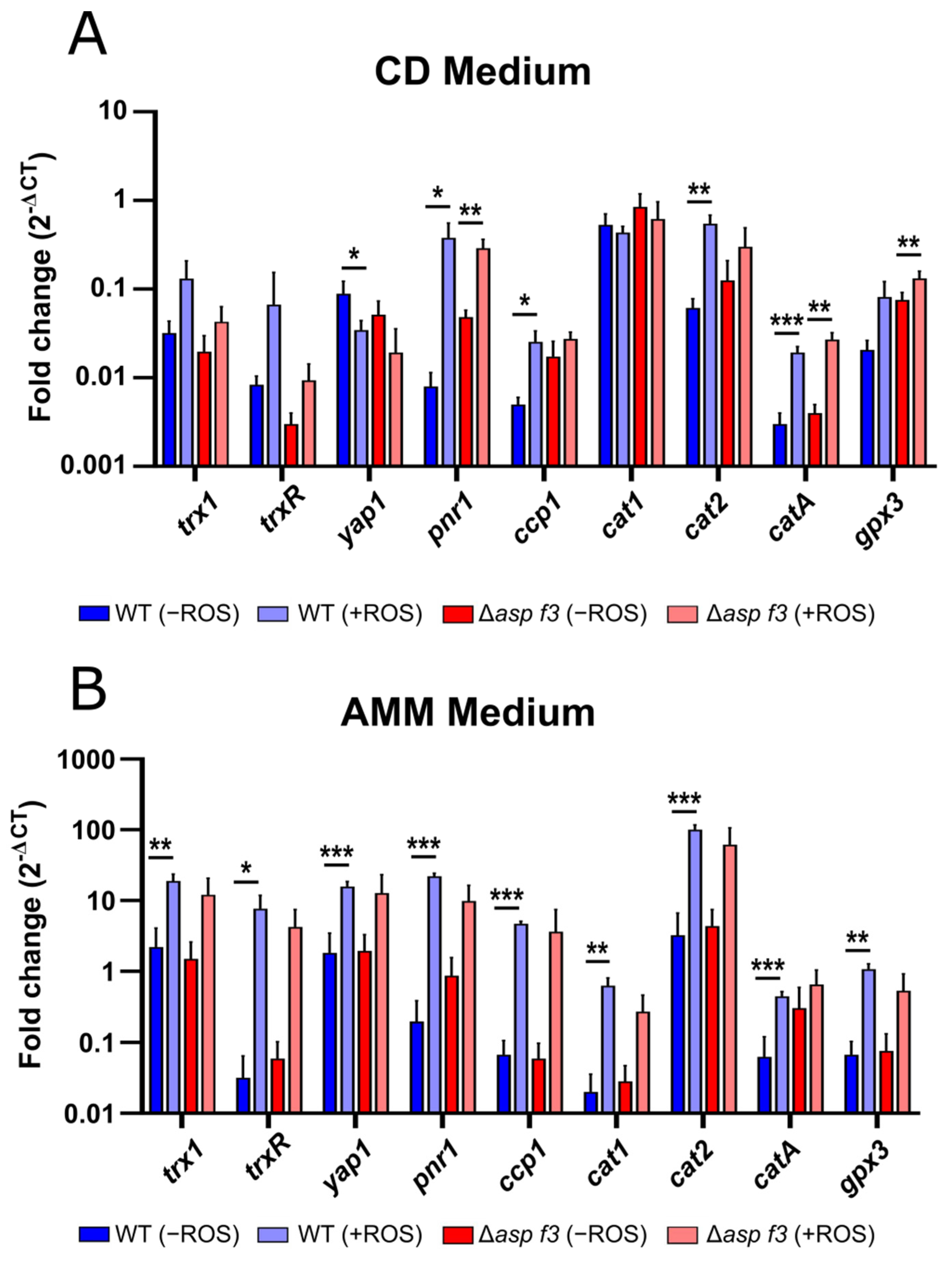 Genes 12 00668 g005 Genes 12 00668 g005