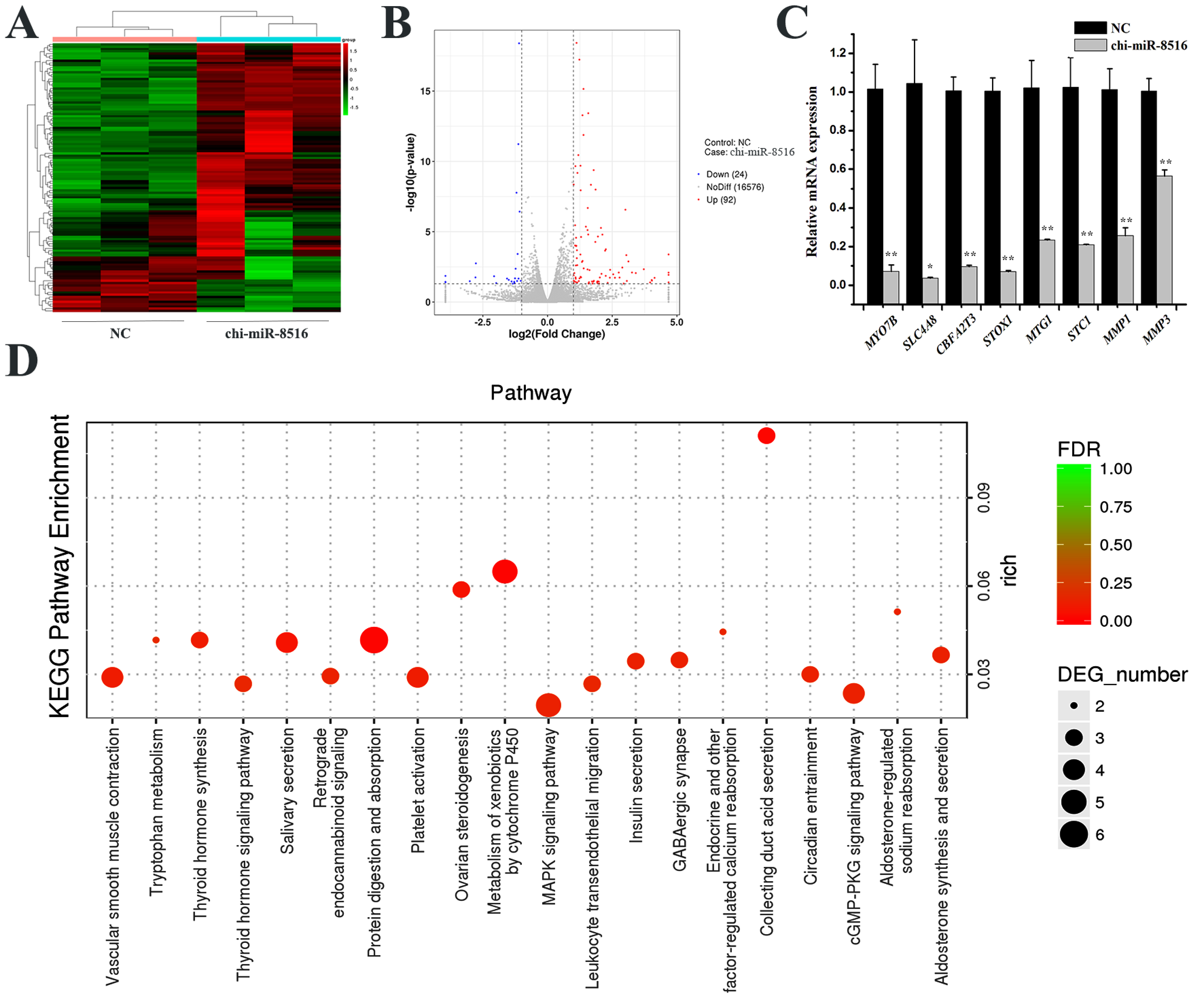 Genes 12 00671 g001 Genes 12 00671 g001