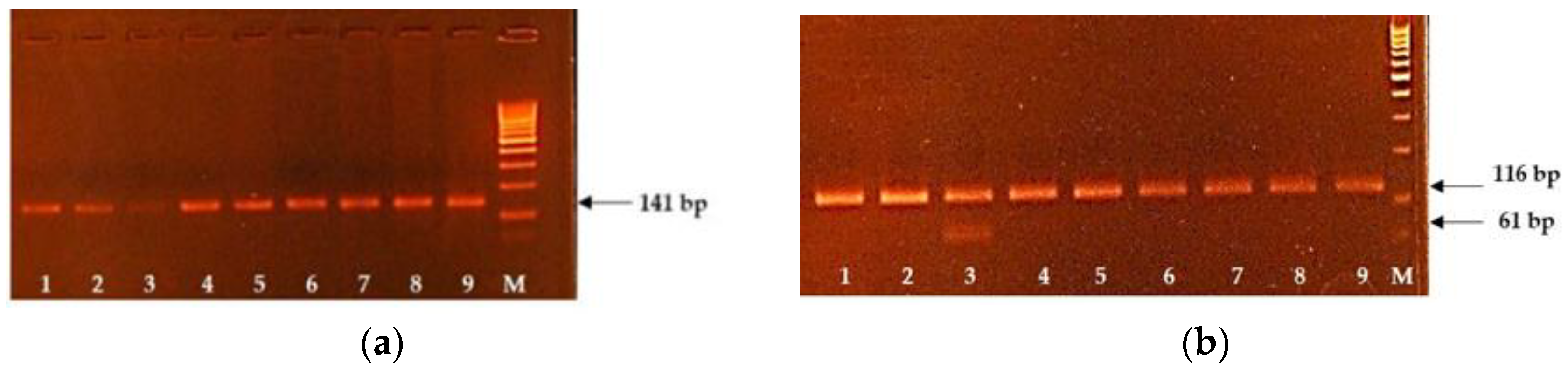 Genes 12 00678 g001