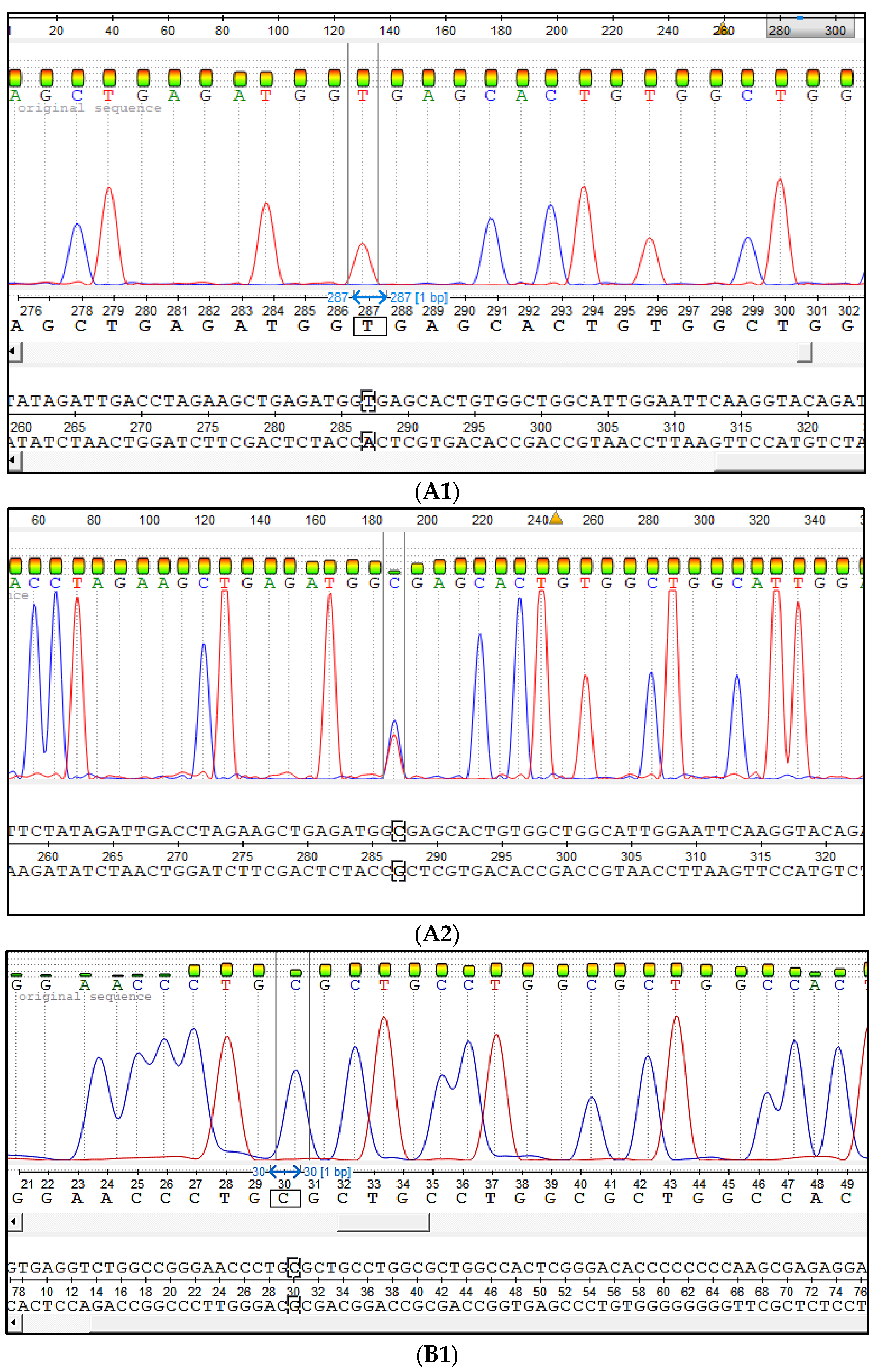 Genes 12 00678 g002a