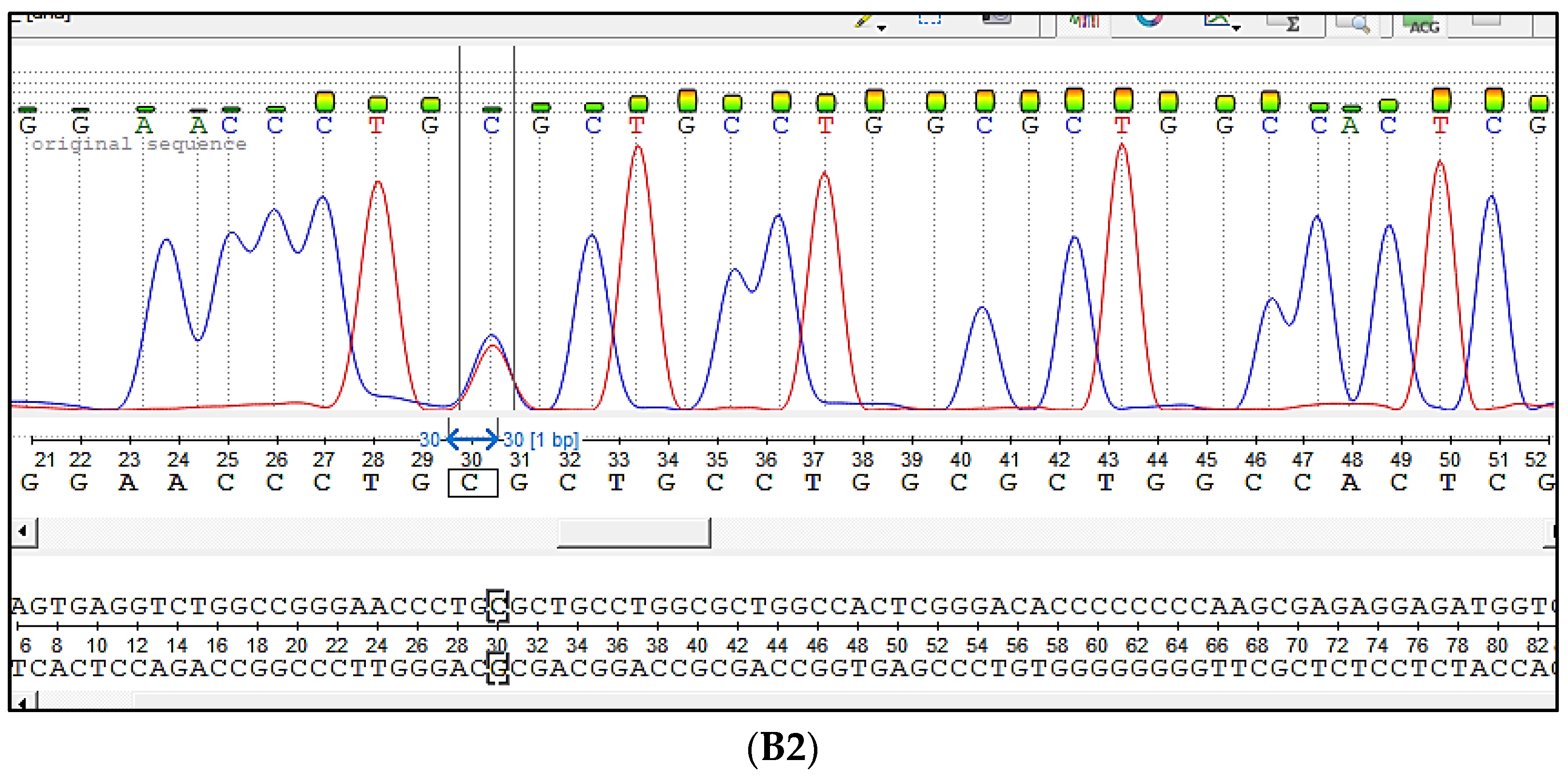 Genes 12 00678 g002b
