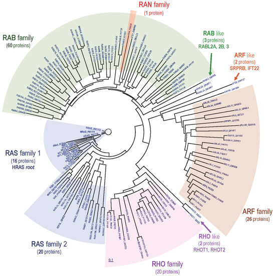 Genes Free FullText 40 Years of RAS—A Historic Overview