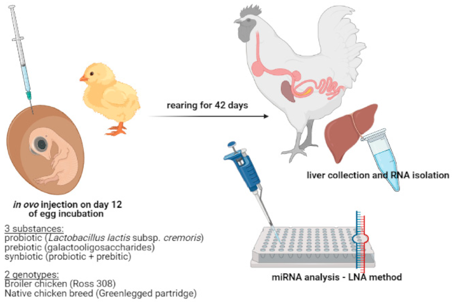 Genes 12 00685 g001 Genes 12 00685 g001