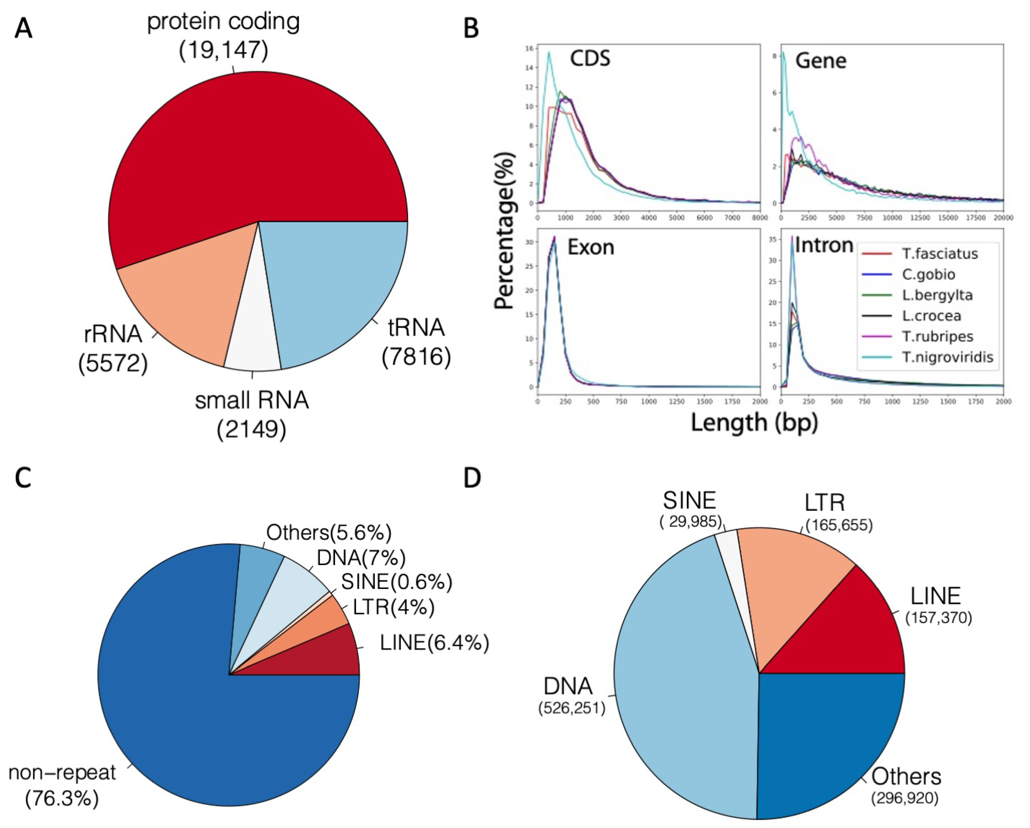 Genes 12 00692 g004