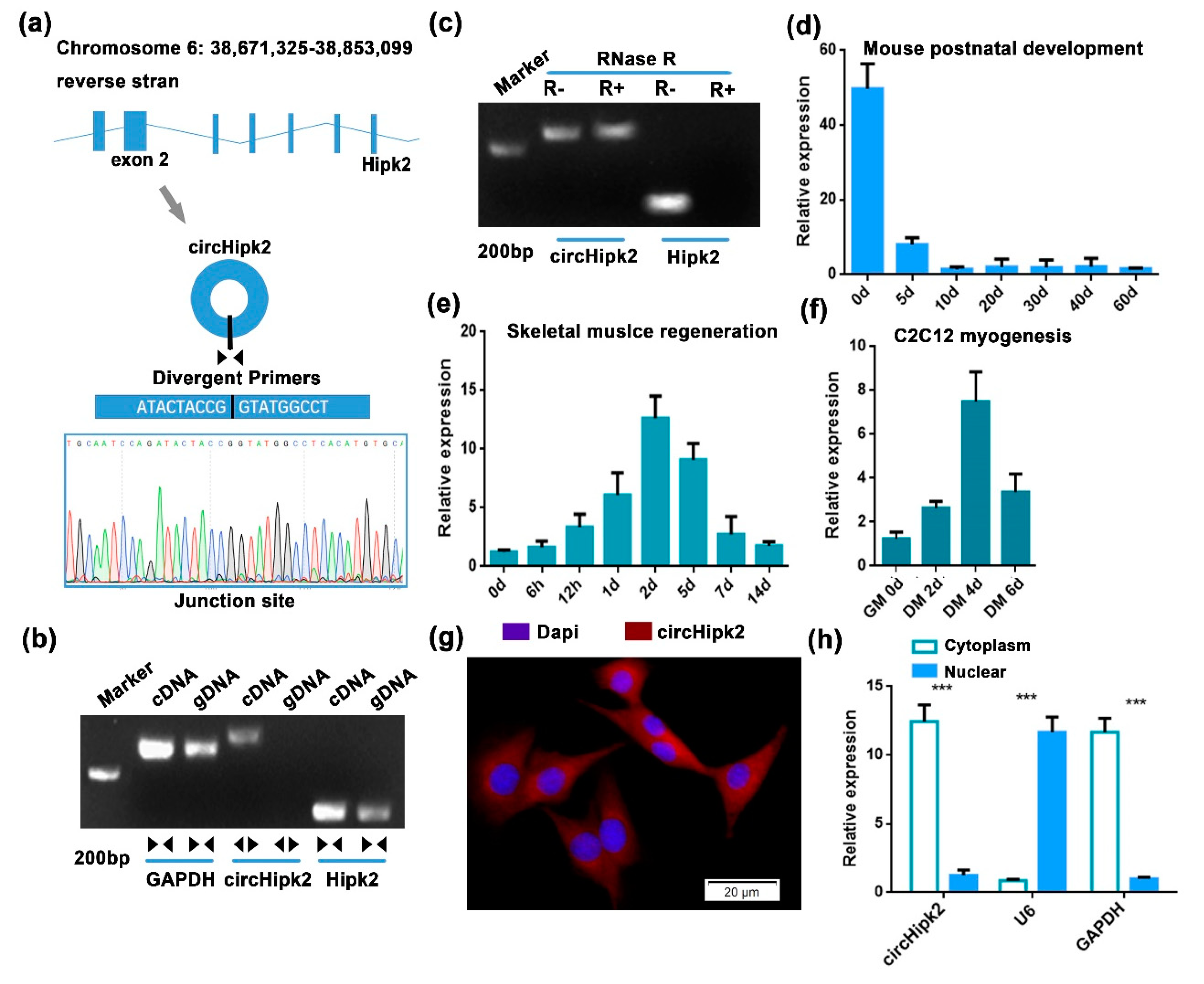 Genes 12 00696 g001 Genes 12 00696 g001