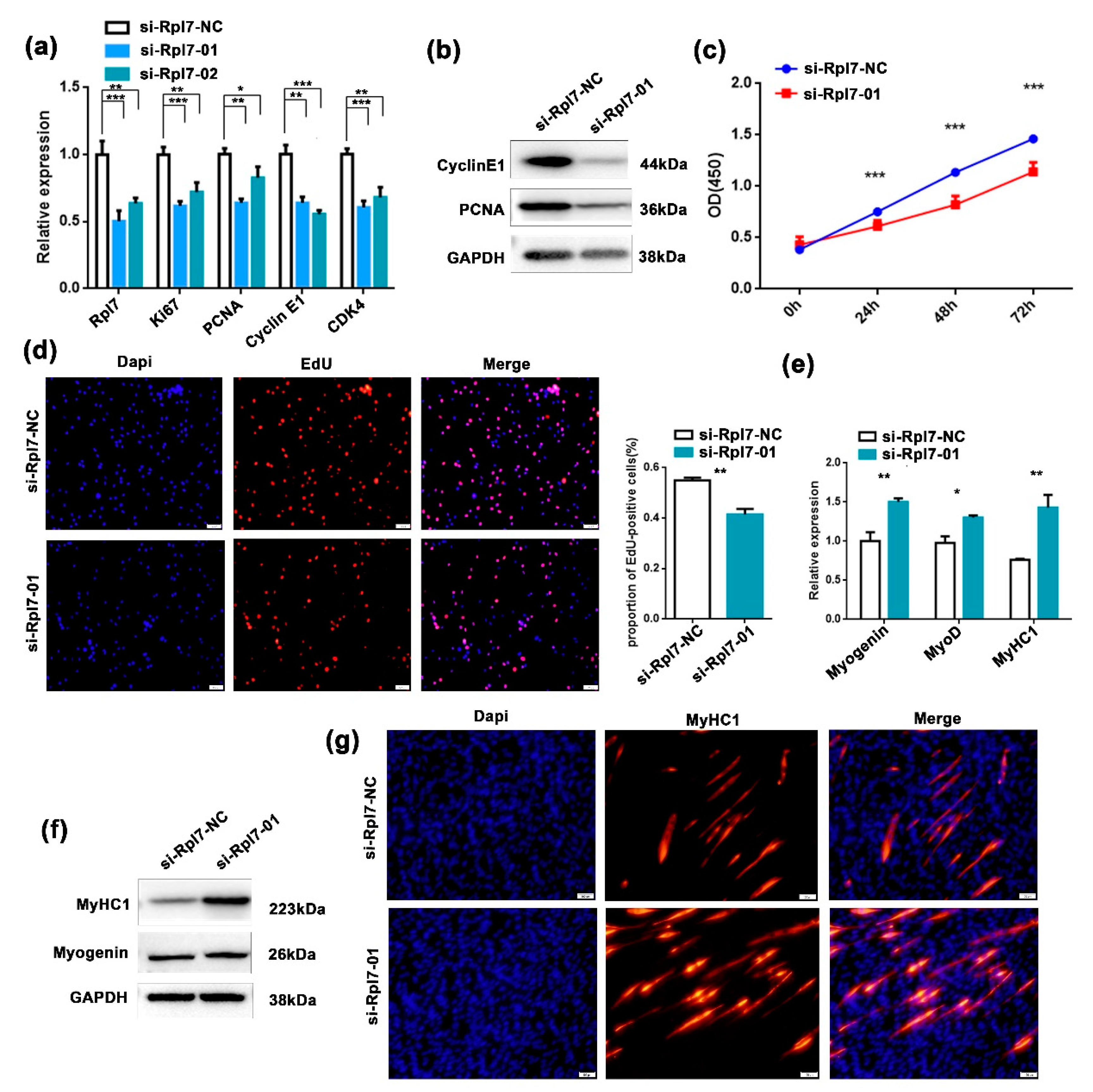Genes 12 00696 g004 Genes 12 00696 g004