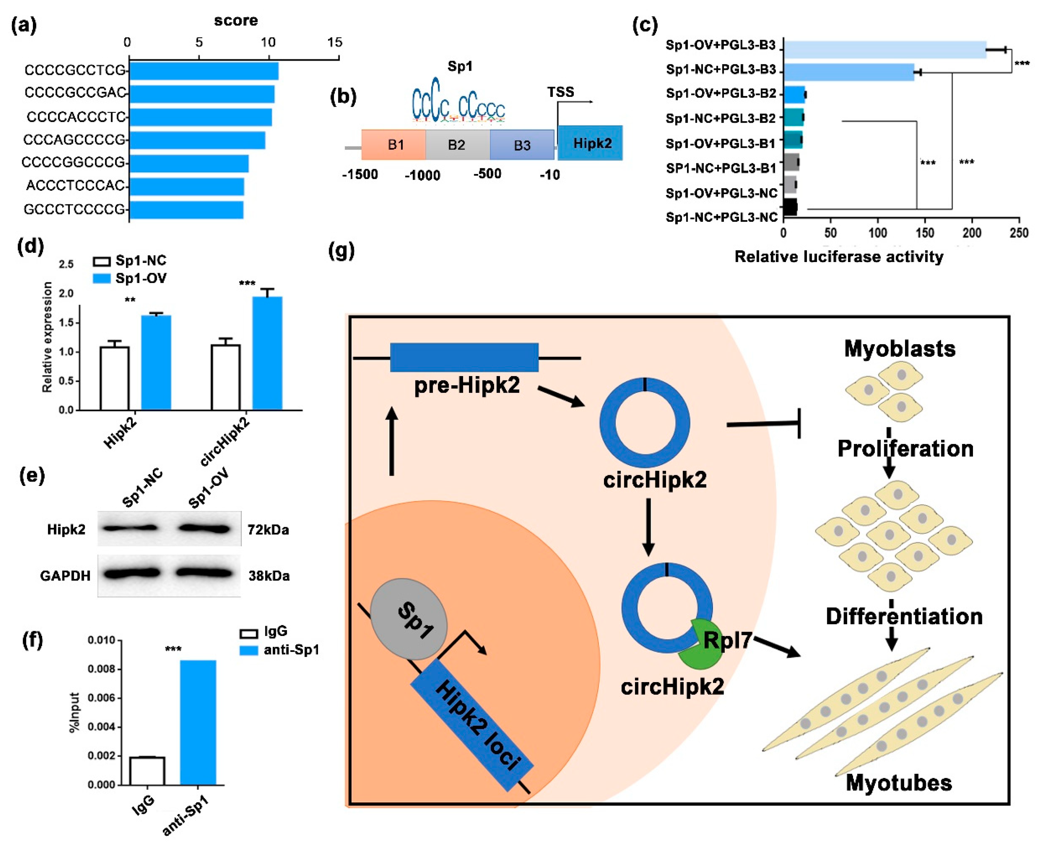 Genes 12 00696 g005 Genes 12 00696 g005
