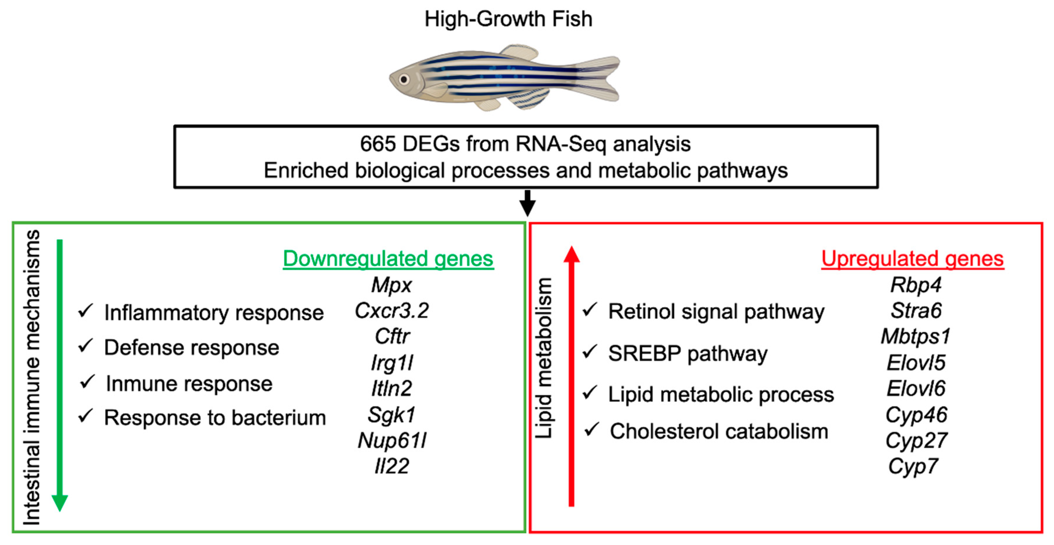 Genes 12 00700 g006