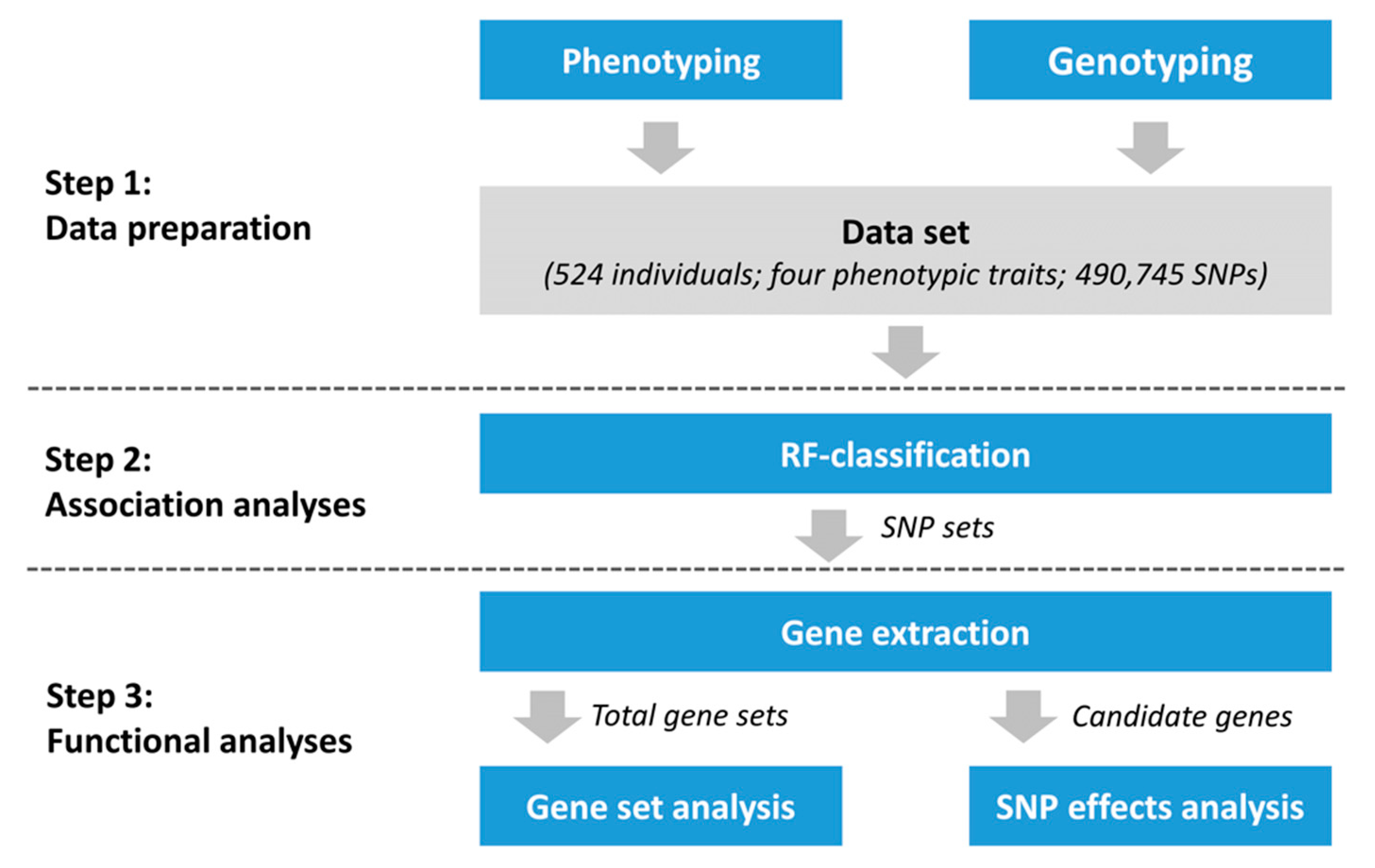 Genes 12 00702 g001 Genes 12 00702 g001