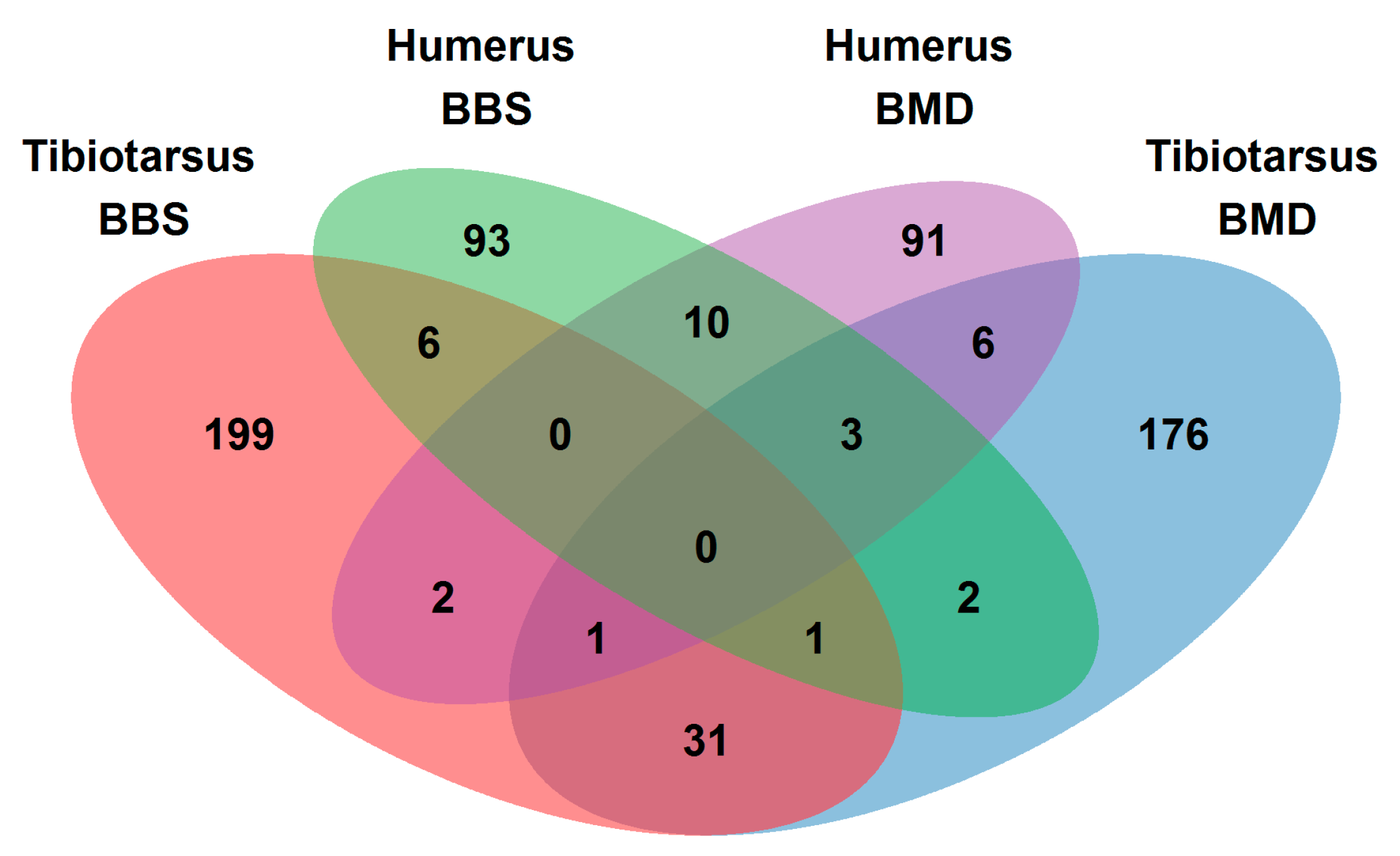Genes 12 00702 g002 Genes 12 00702 g002