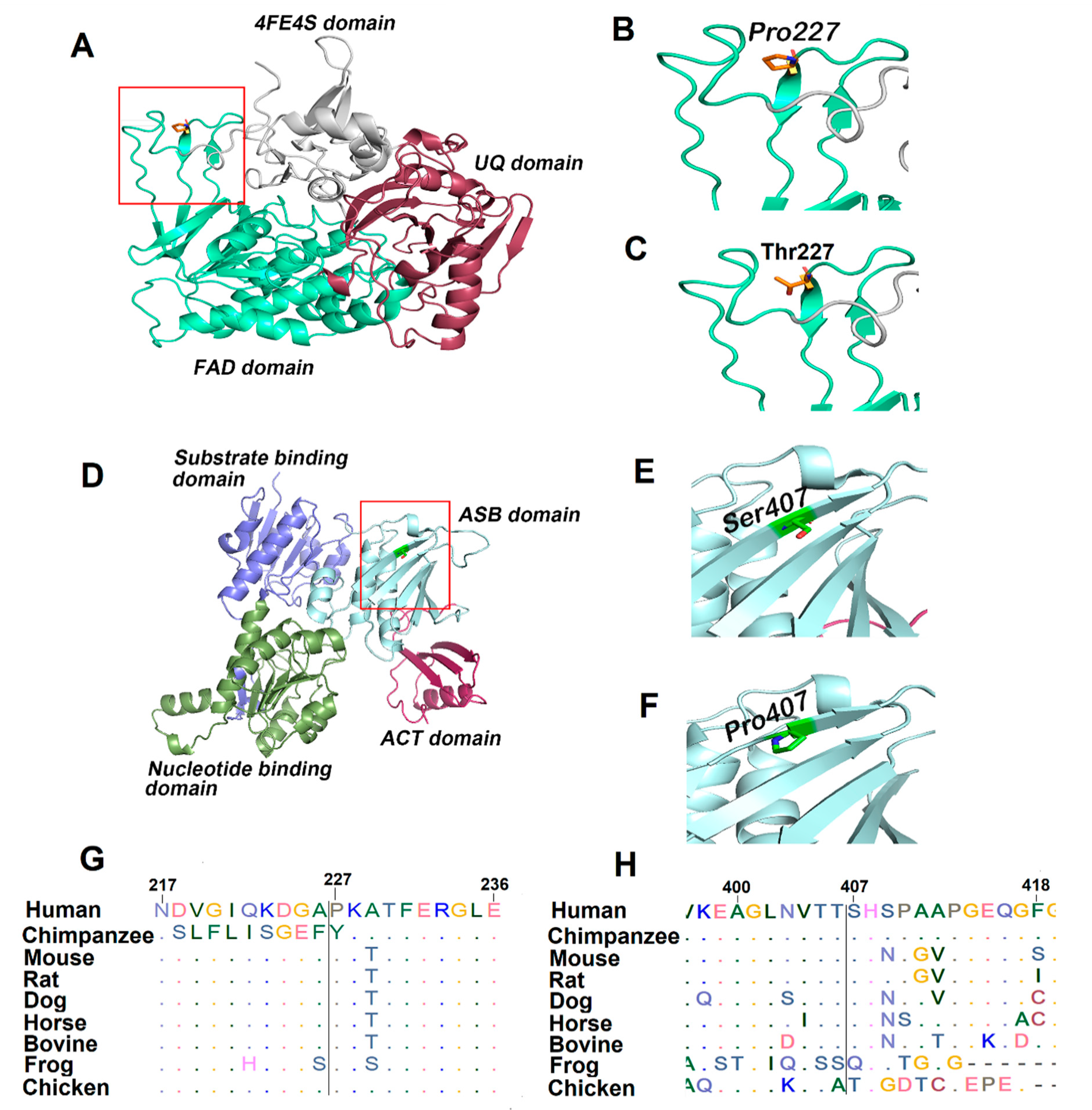 Genes 12 00703 g002 Genes 12 00703 g002