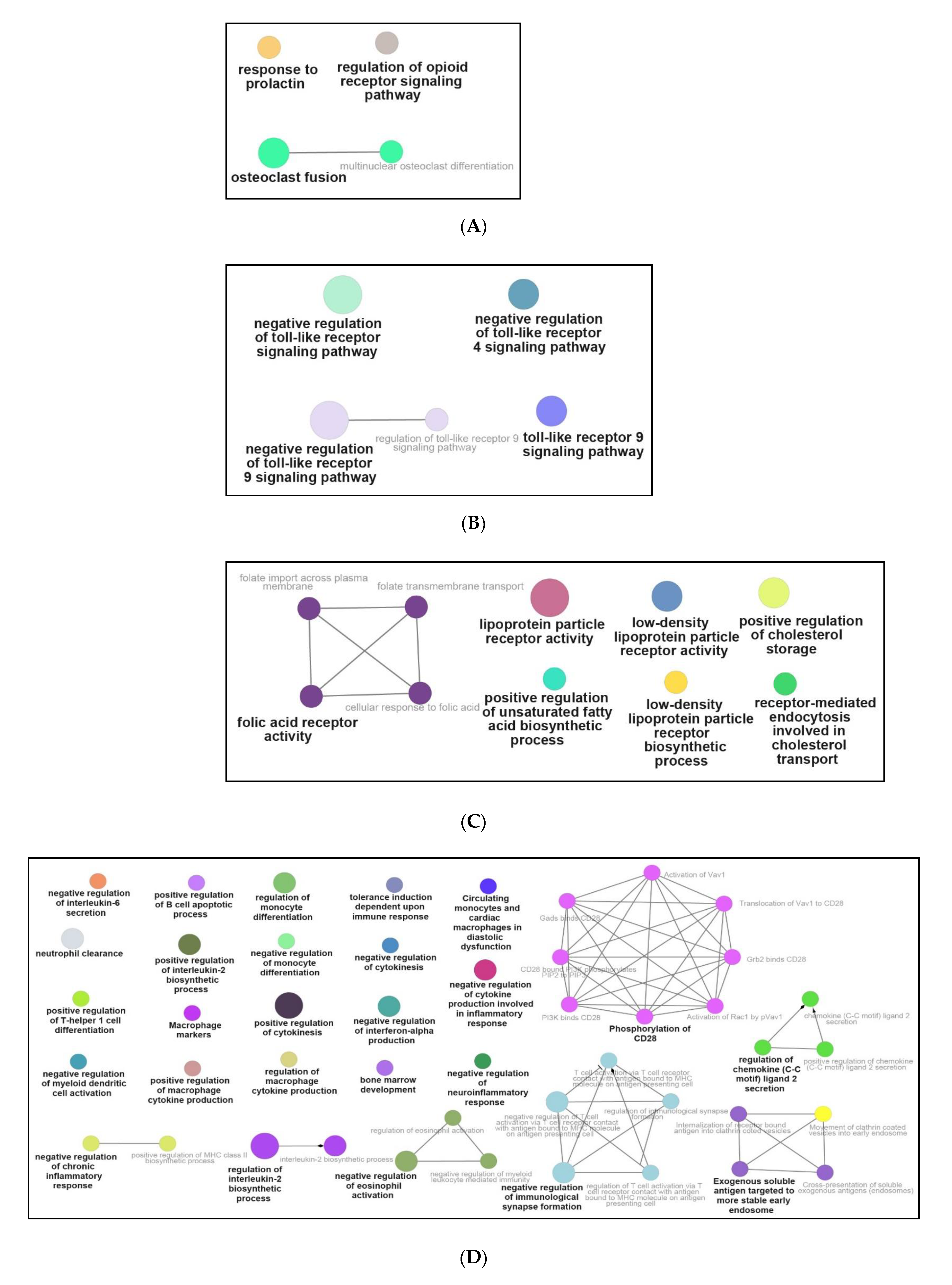 Genes 12 00705 g006a Genes 12 00705 g006a