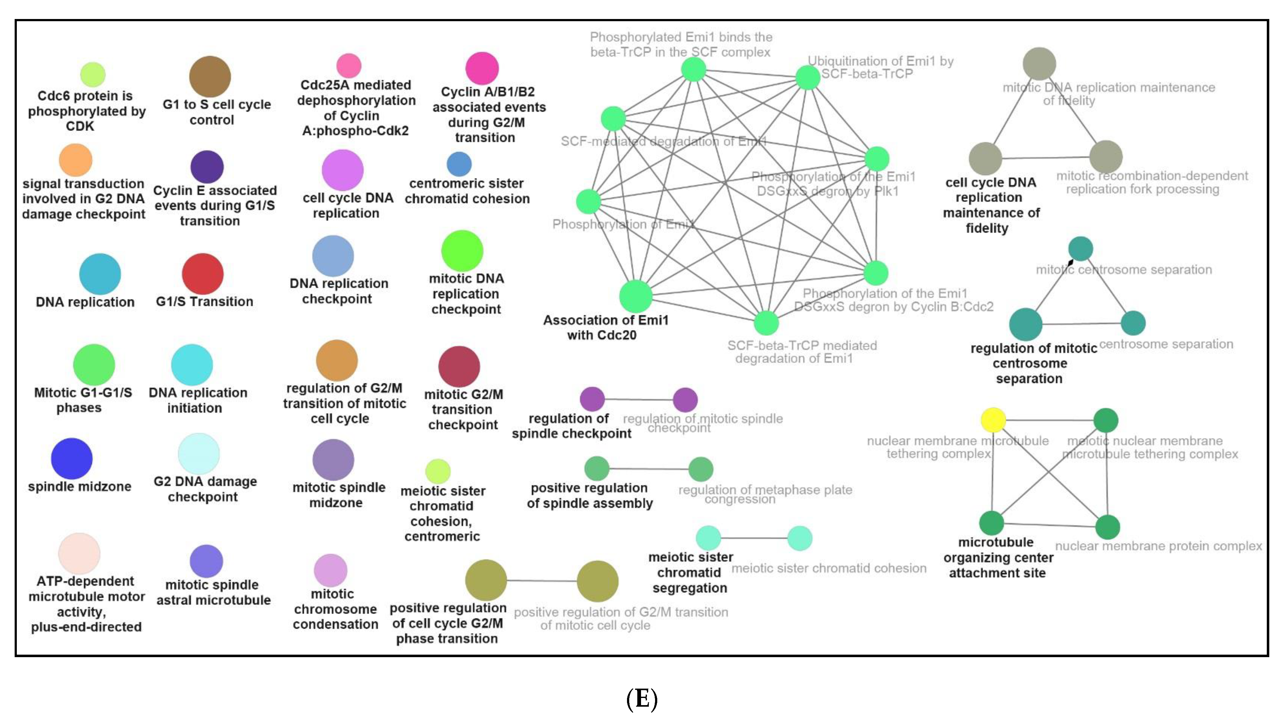 Genes 12 00705 g006b Genes 12 00705 g006b