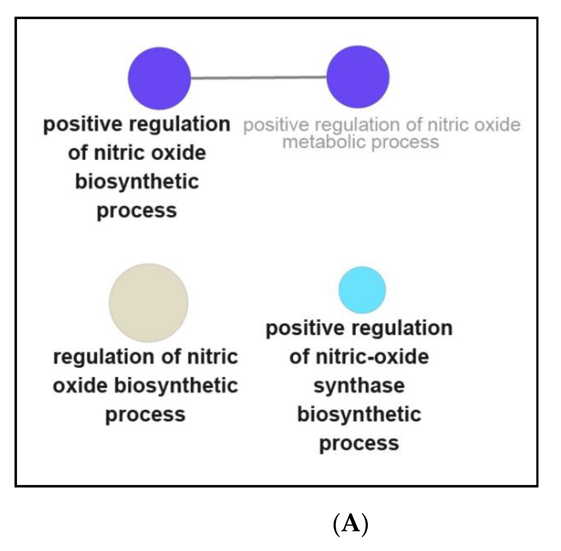 Genes 12 00705 g007a Genes 12 00705 g007a