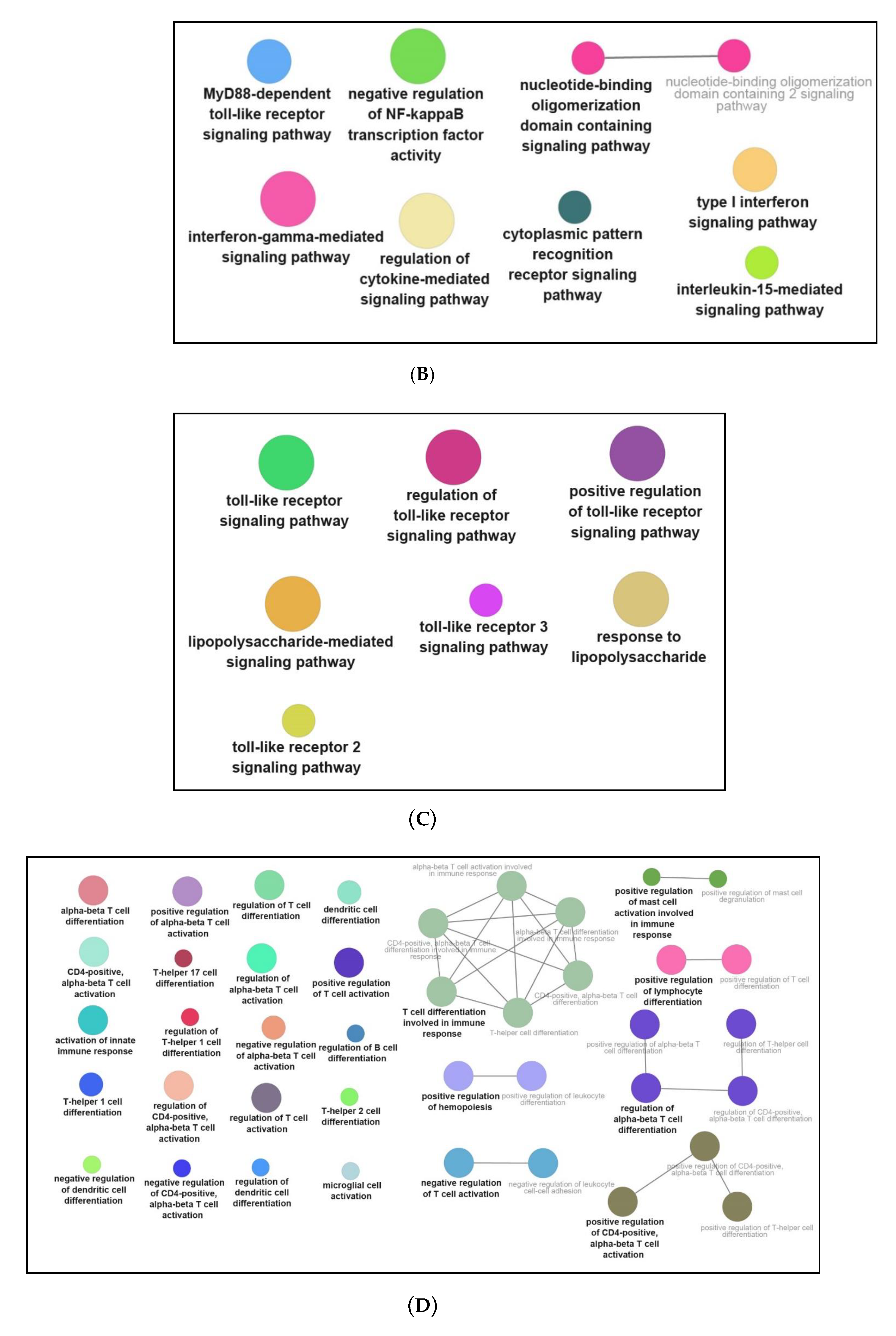 Genes 12 00705 g007b Genes 12 00705 g007b