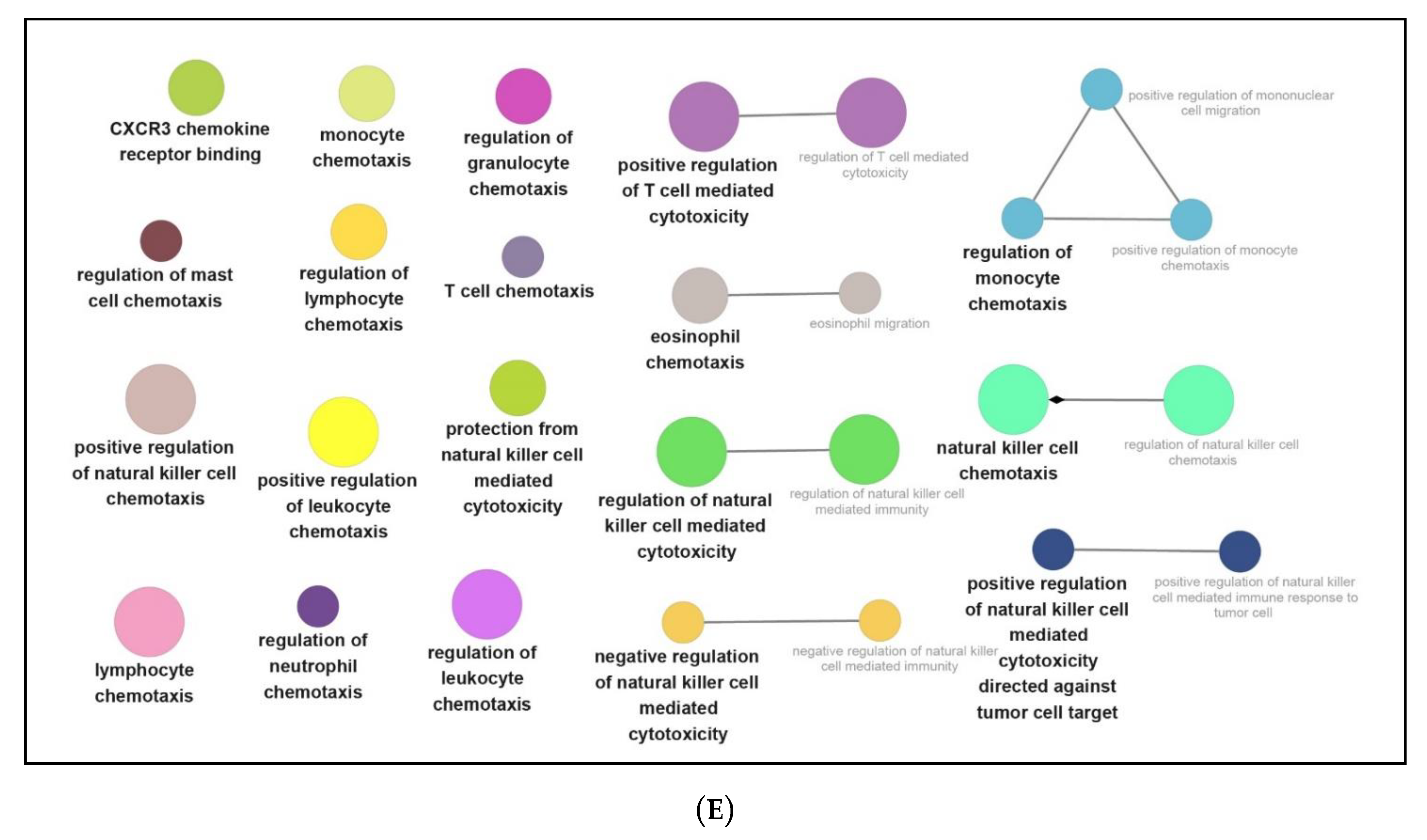 Genes 12 00705 g007c Genes 12 00705 g007c