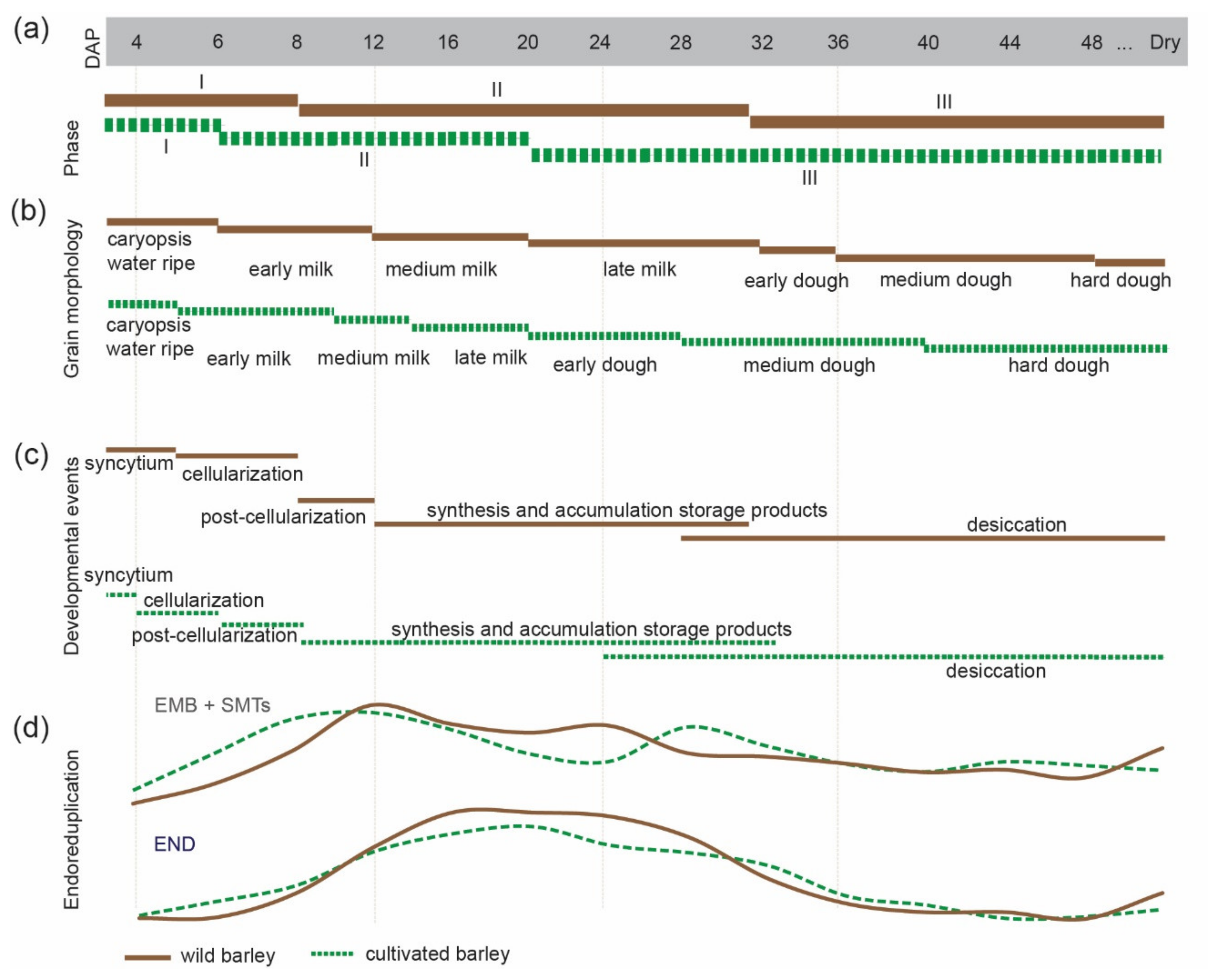 Genes 12 00711 g007 Genes 12 00711 g007