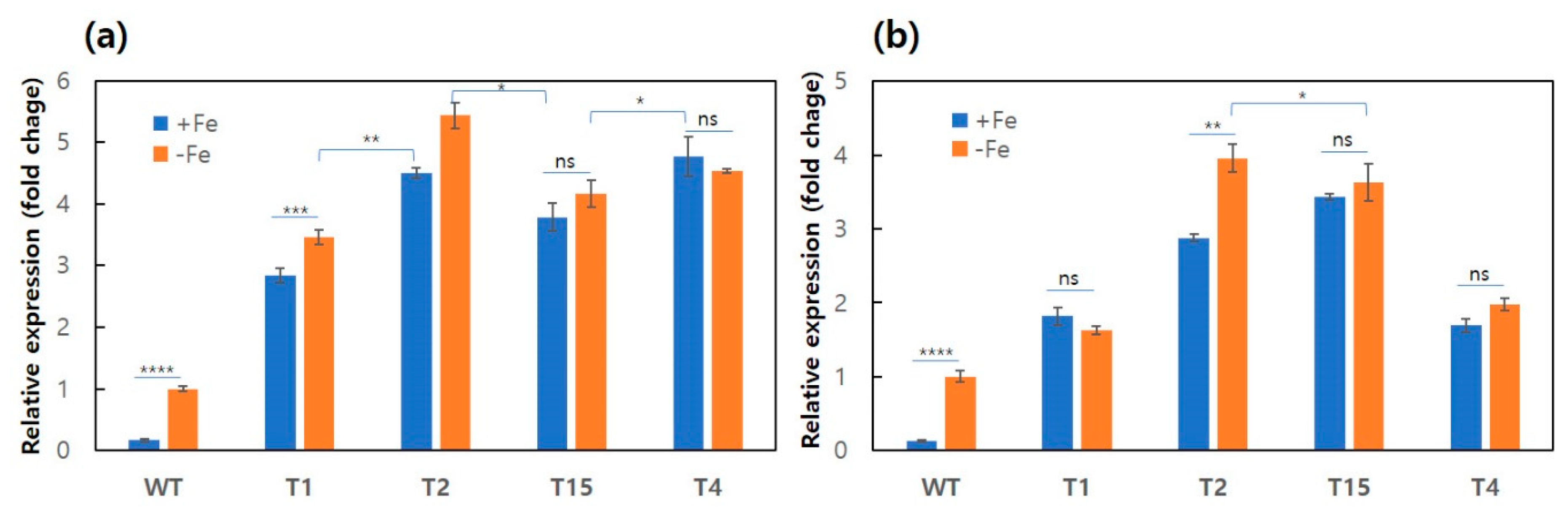 Genes 12 00724 g002