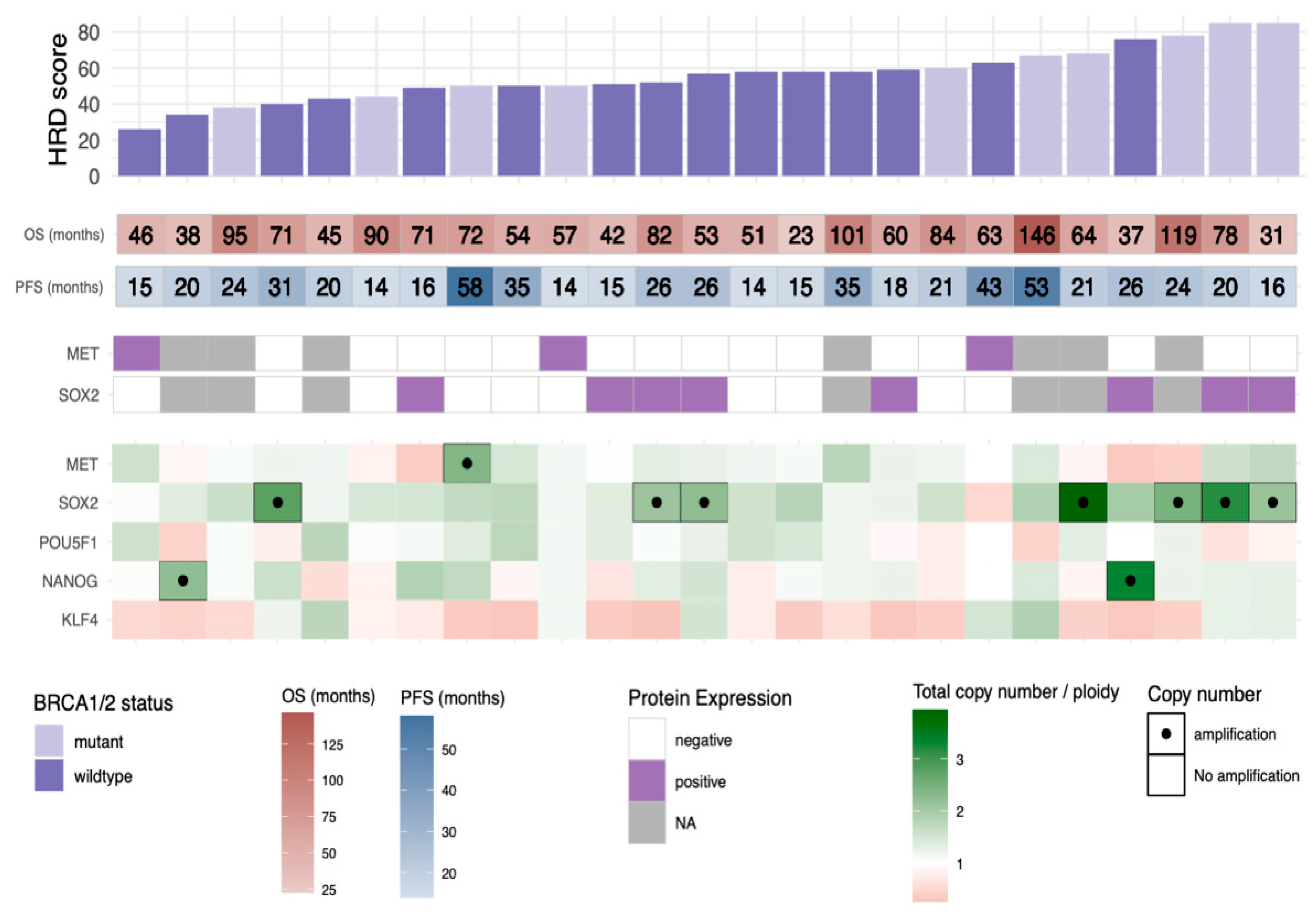 Genes 12 00742 g002 Genes 12 00742 g002