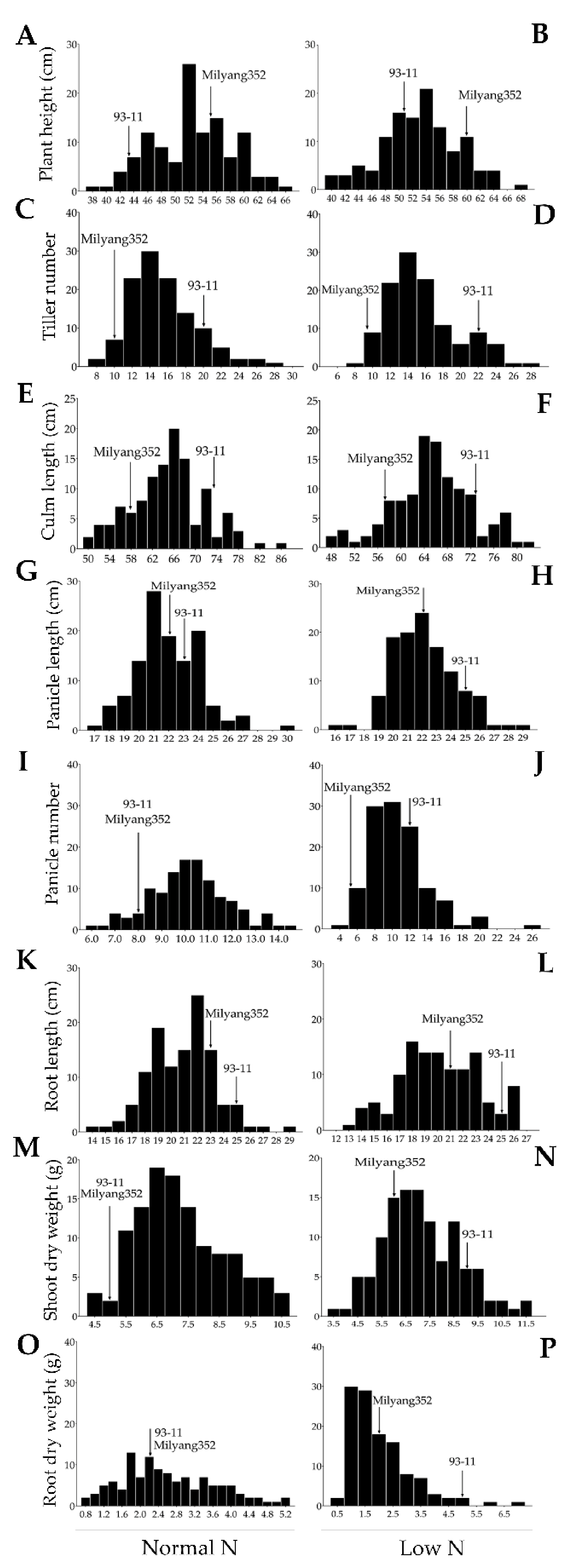 Genes 12 00745 g001