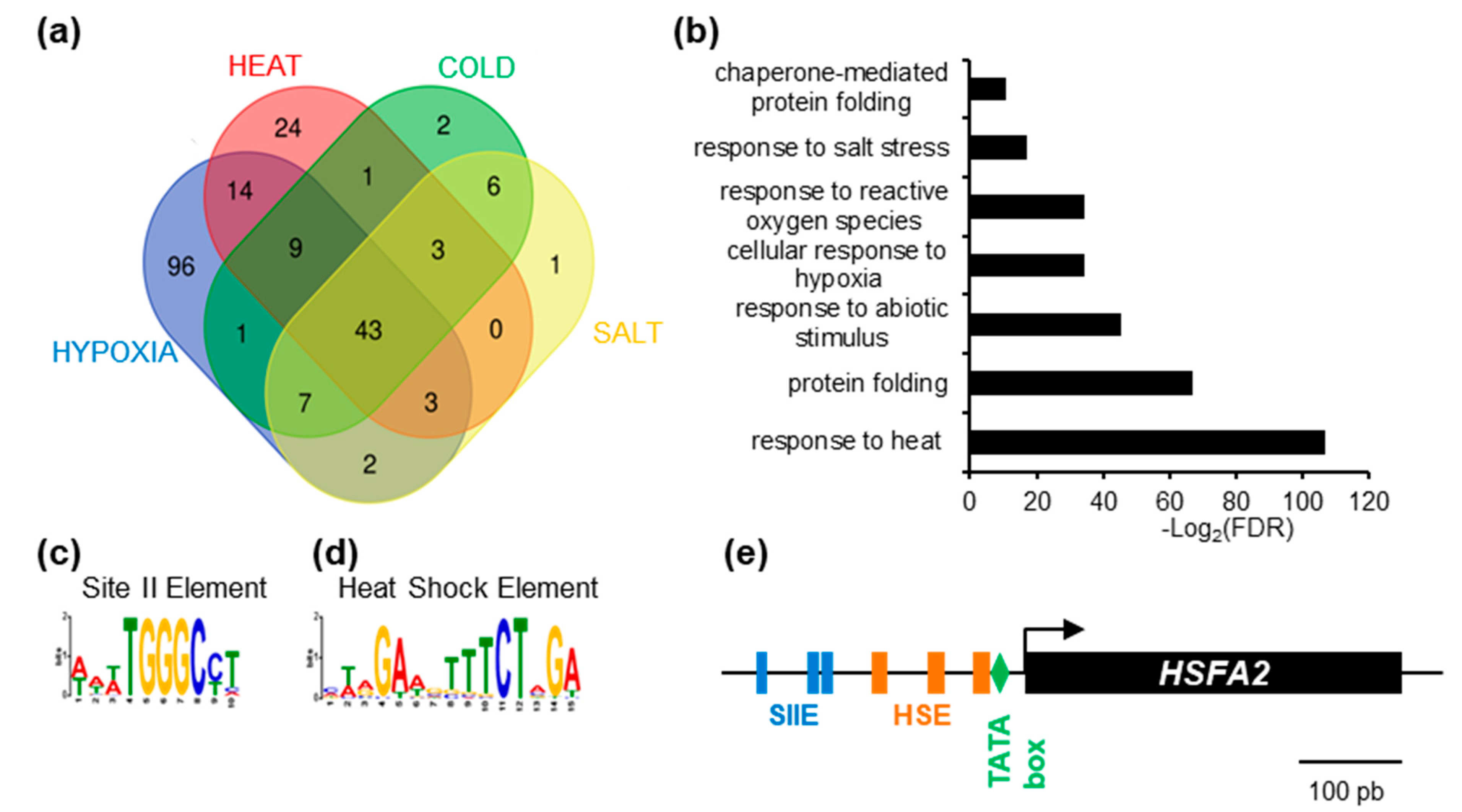 Genes 12 00746 g001 Genes 12 00746 g001