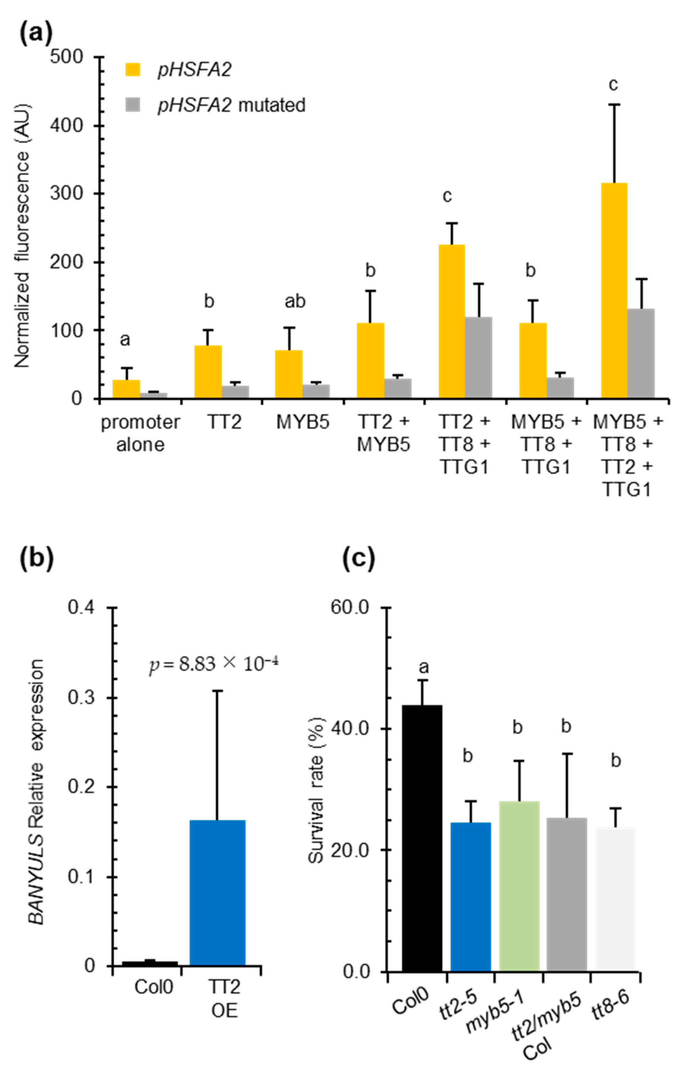 Genes 12 00746 g004 Genes 12 00746 g004