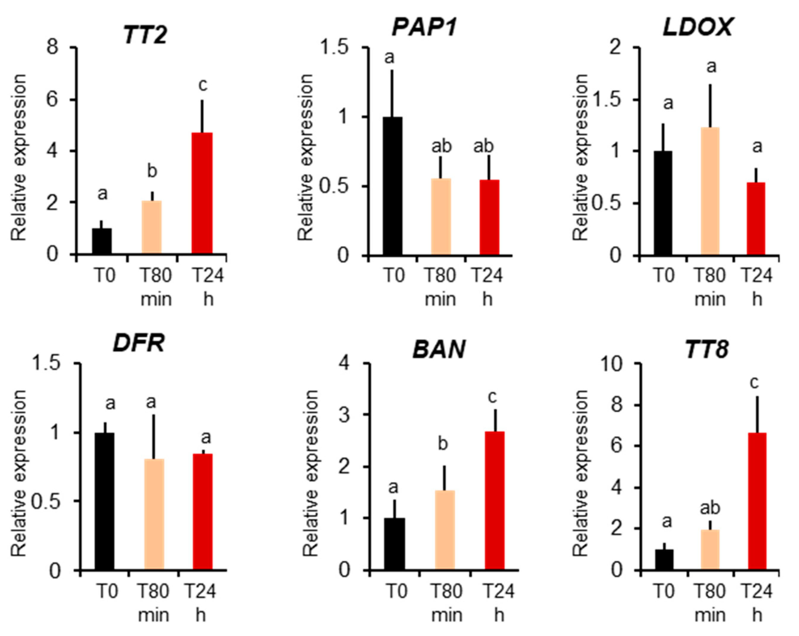 Genes 12 00746 g005 Genes 12 00746 g005