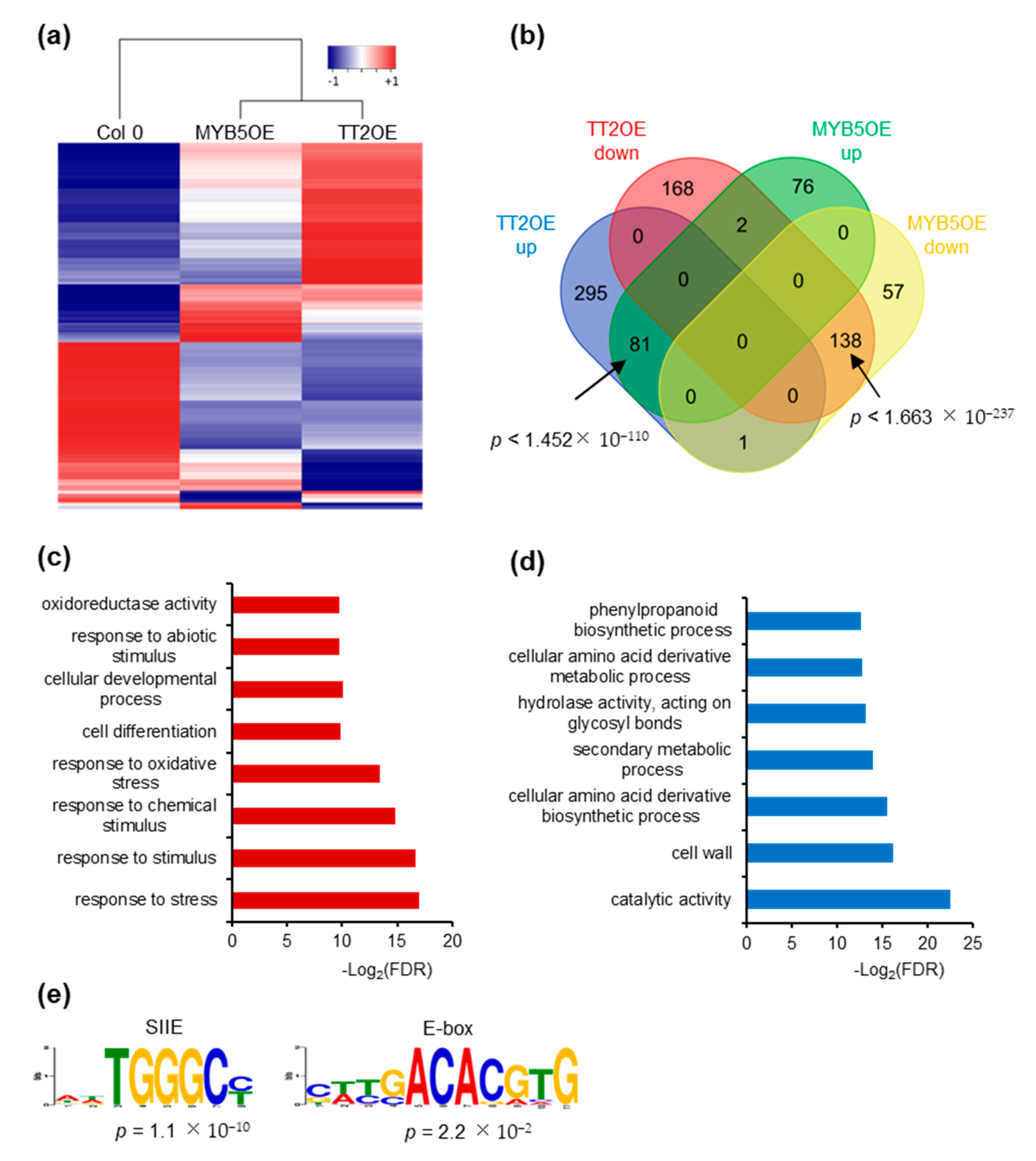 Genes 12 00746 g006 Genes 12 00746 g006