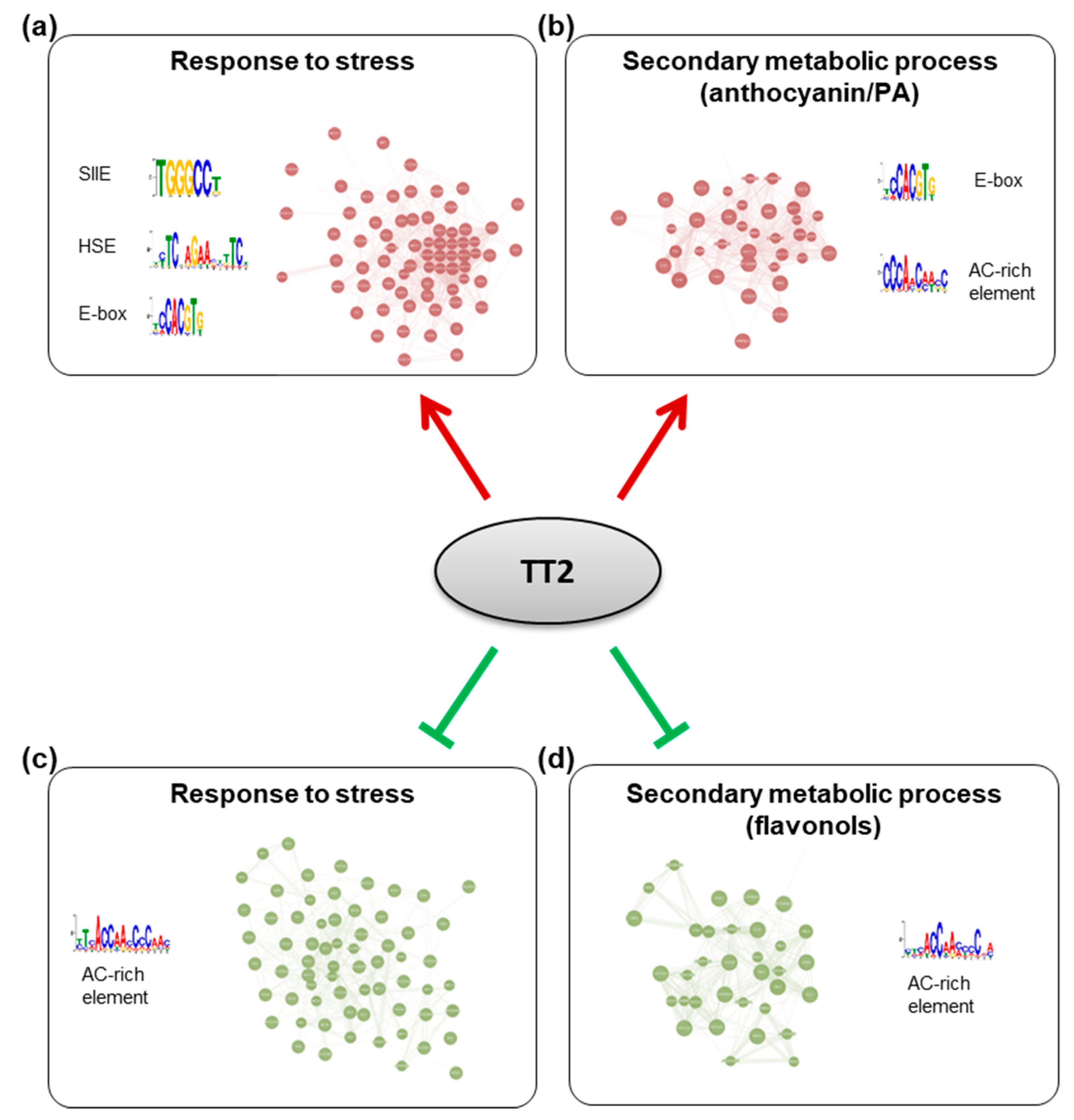 Genes 12 00746 g007 Genes 12 00746 g007
