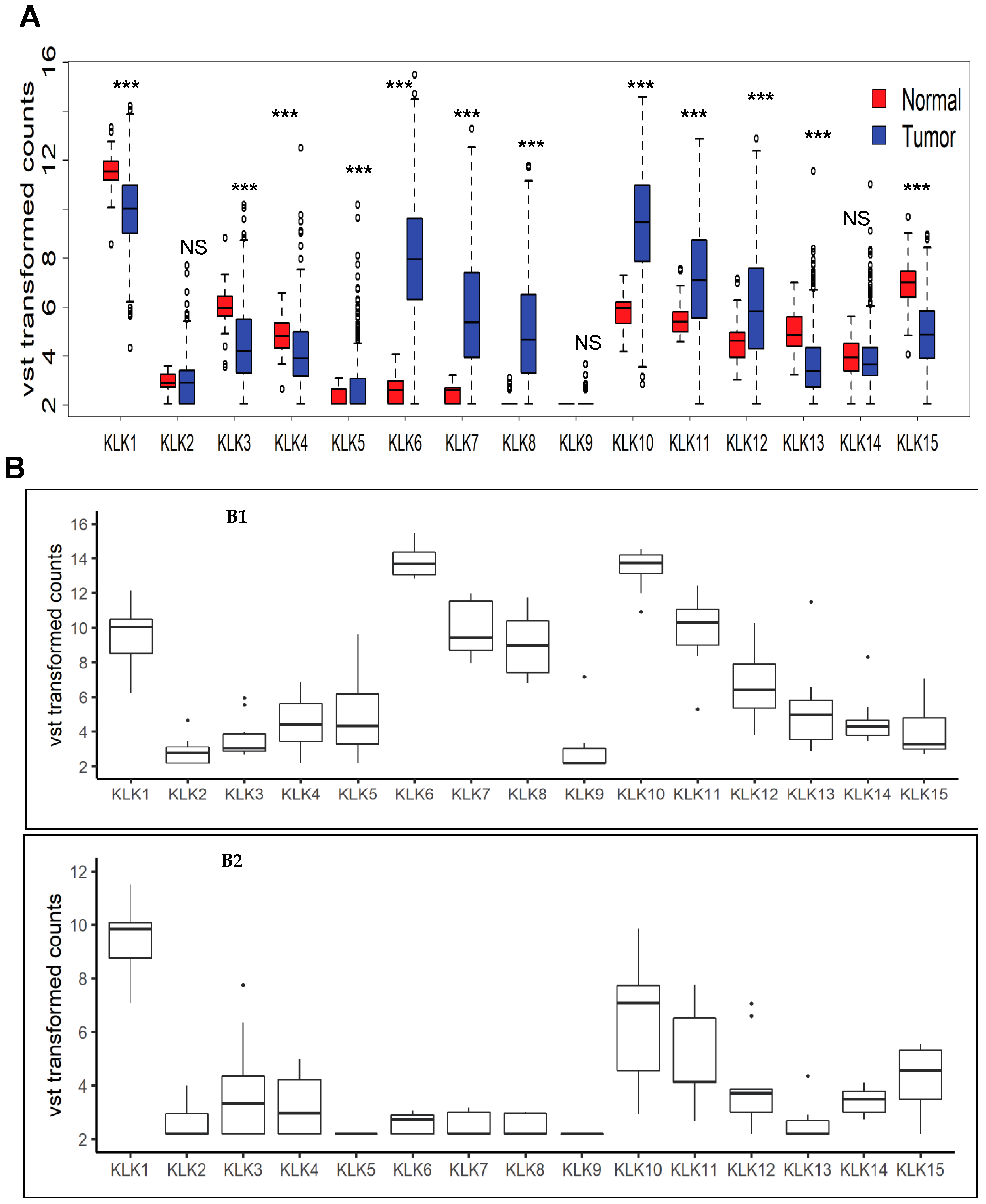 Genes 12 00749 g001 Genes 12 00749 g001
