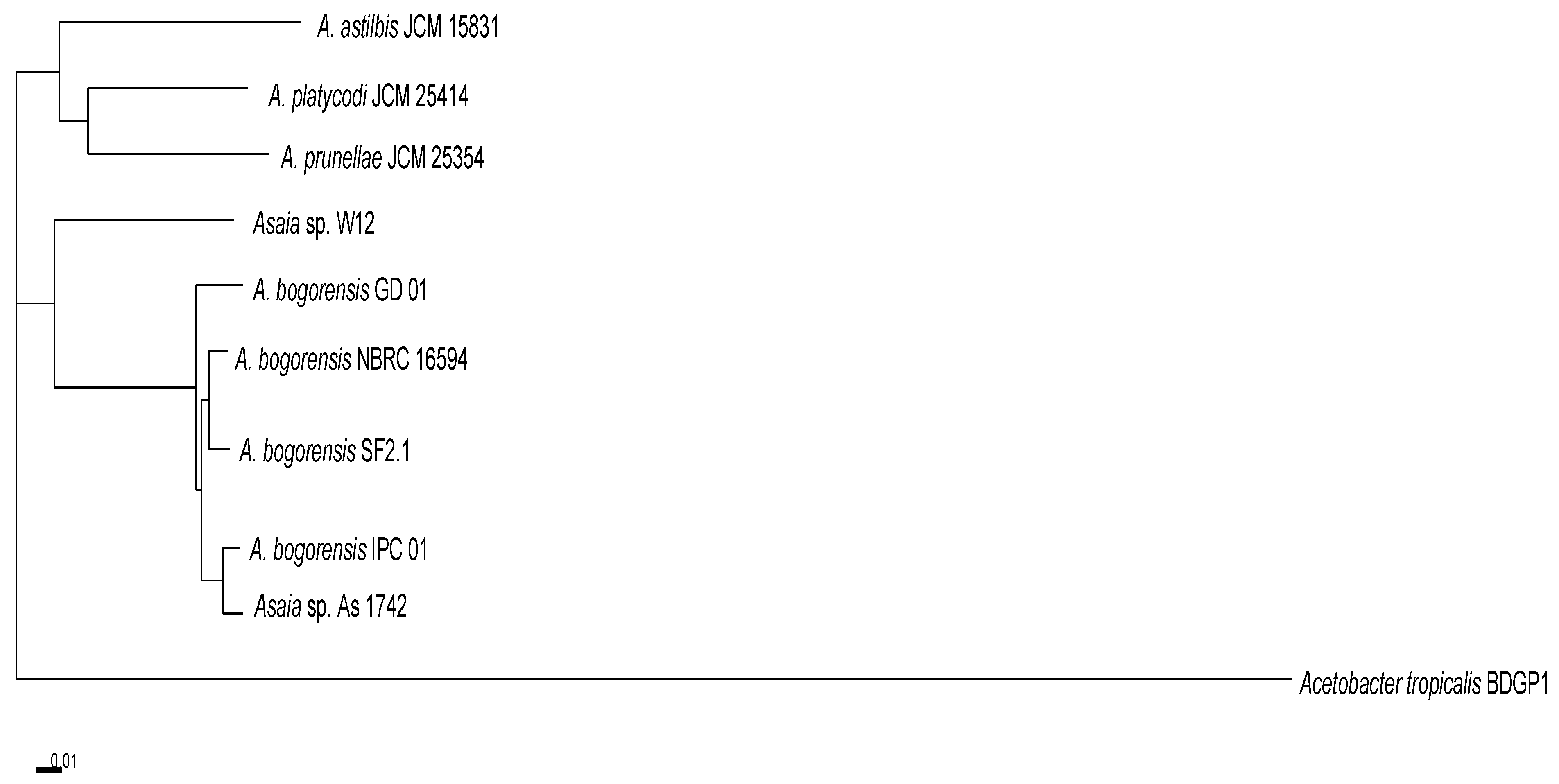 Genes 12 00752 g001 Genes 12 00752 g001