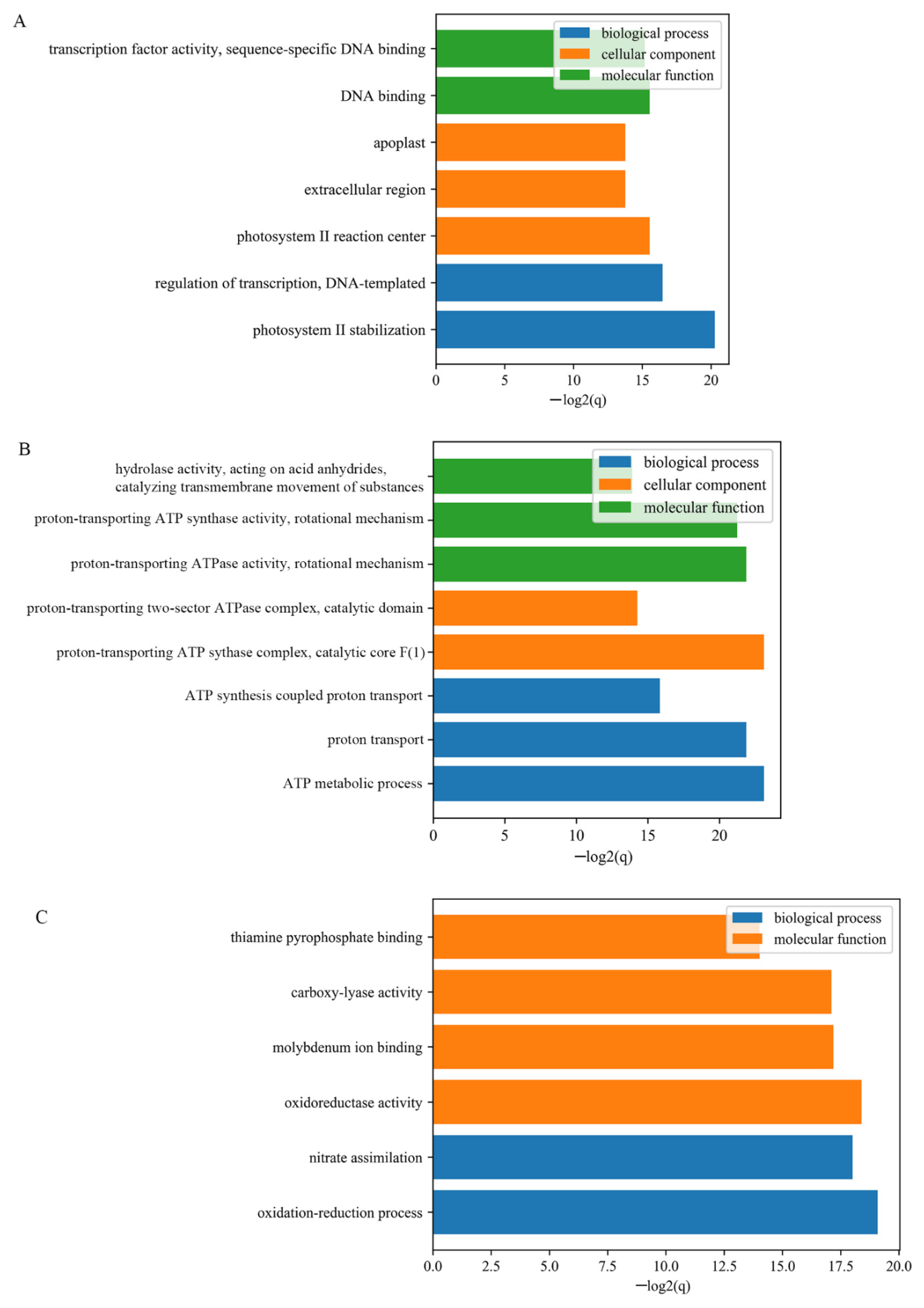 Genes 12 00753 g003 Genes 12 00753 g003