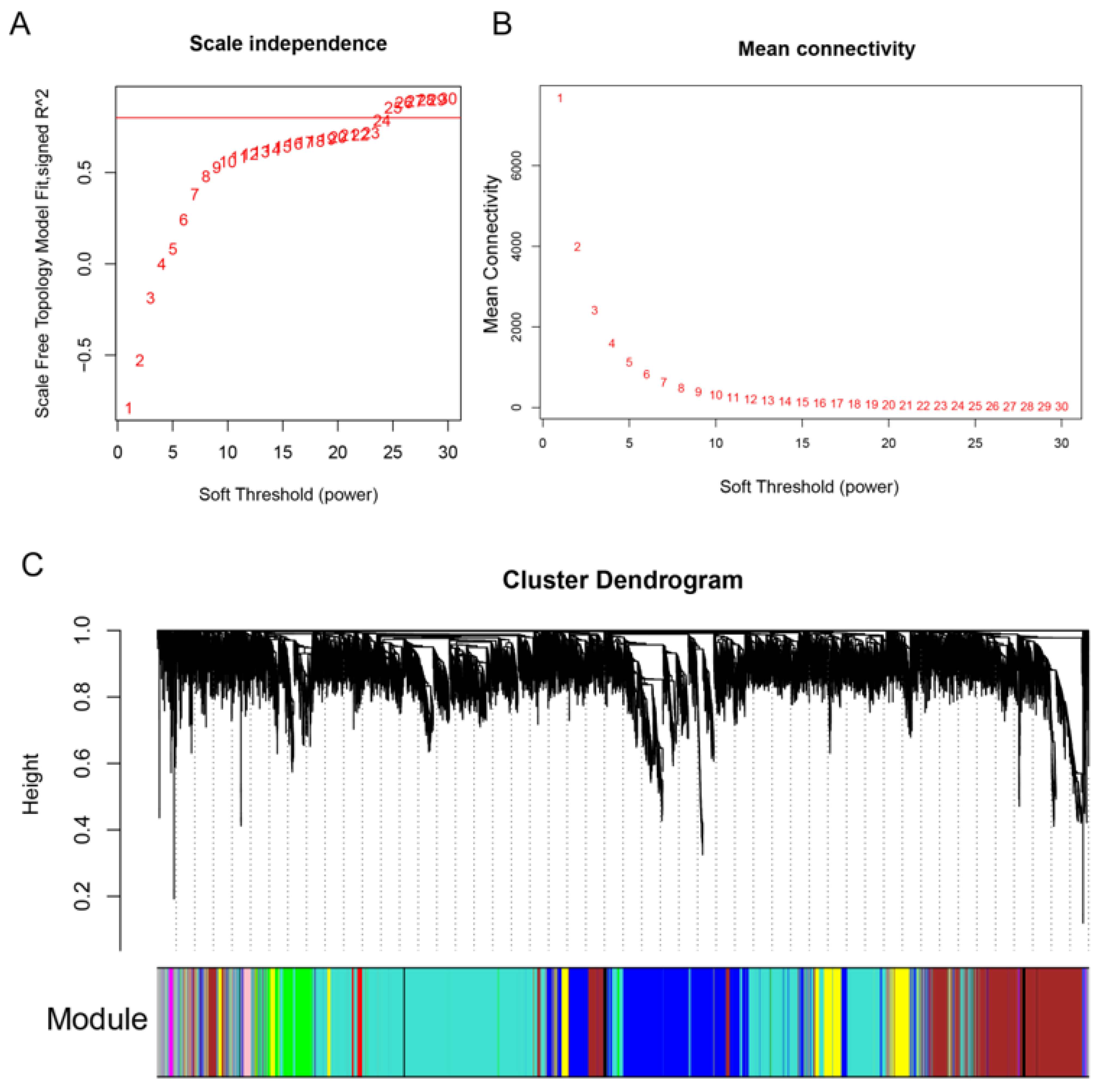 Genes 12 00753 g004 Genes 12 00753 g004
