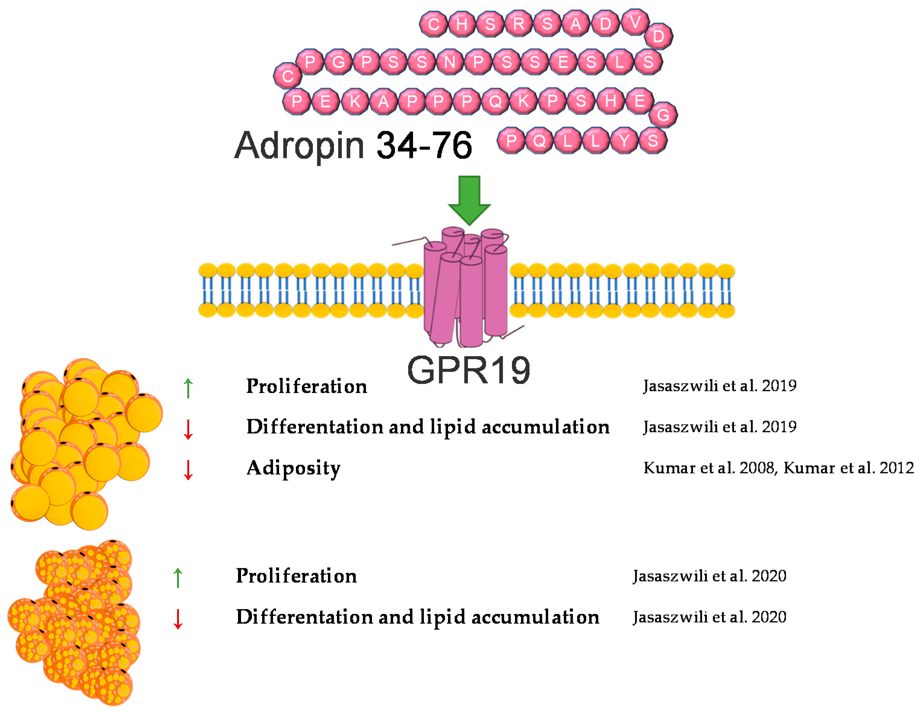 Genes 12 00756 g001