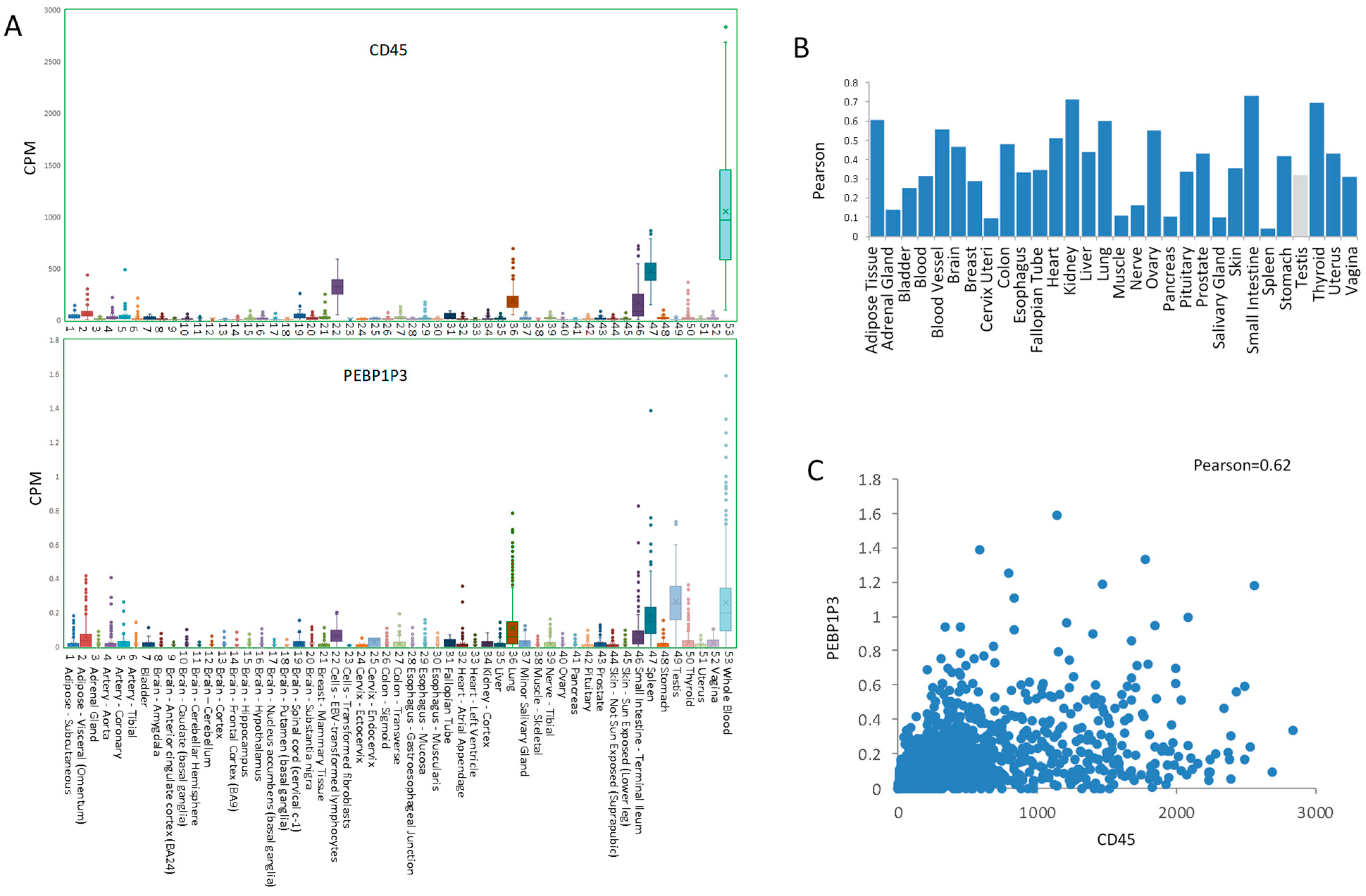 Genes 12 00759 g001