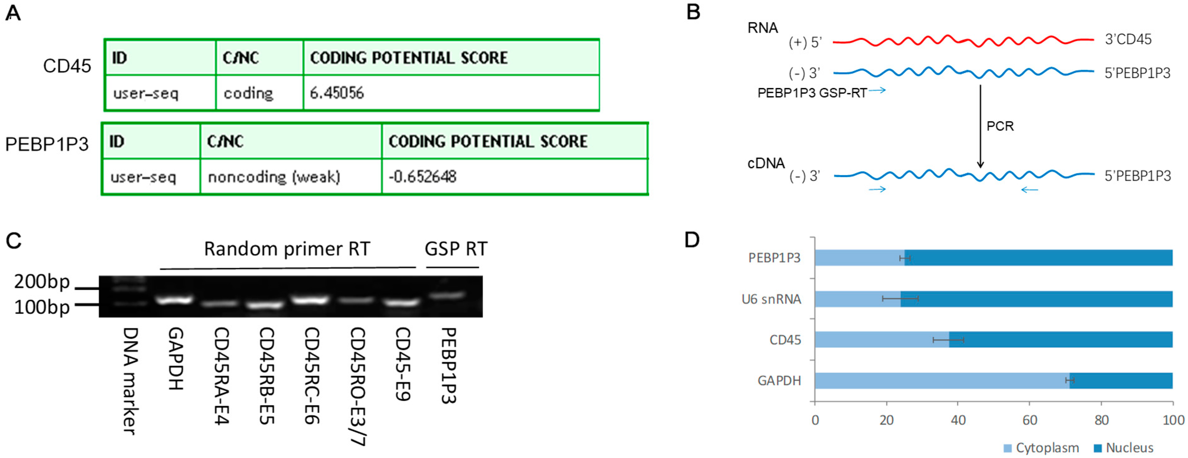 Genes 12 00759 g002