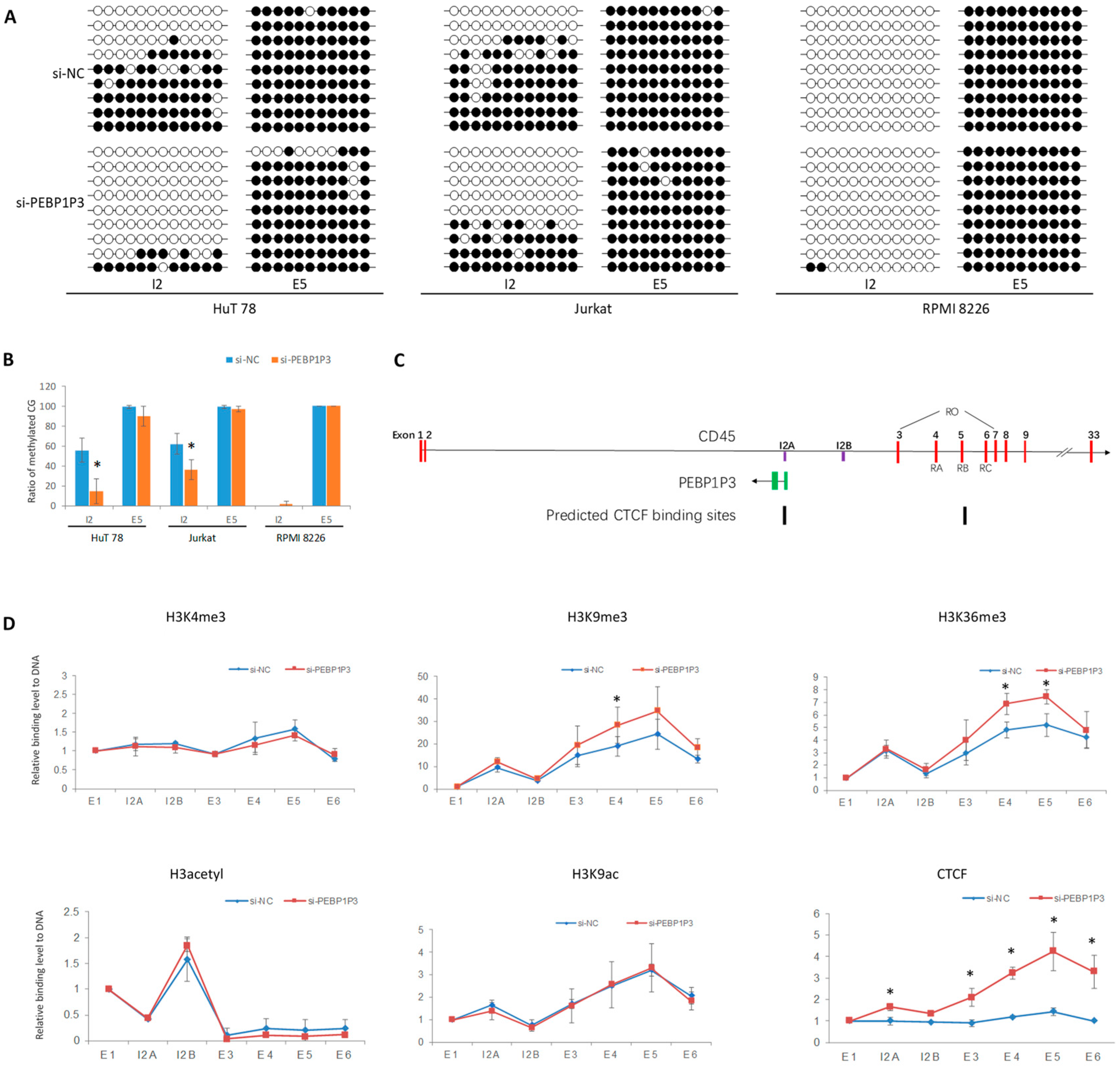 Genes 12 00759 g004