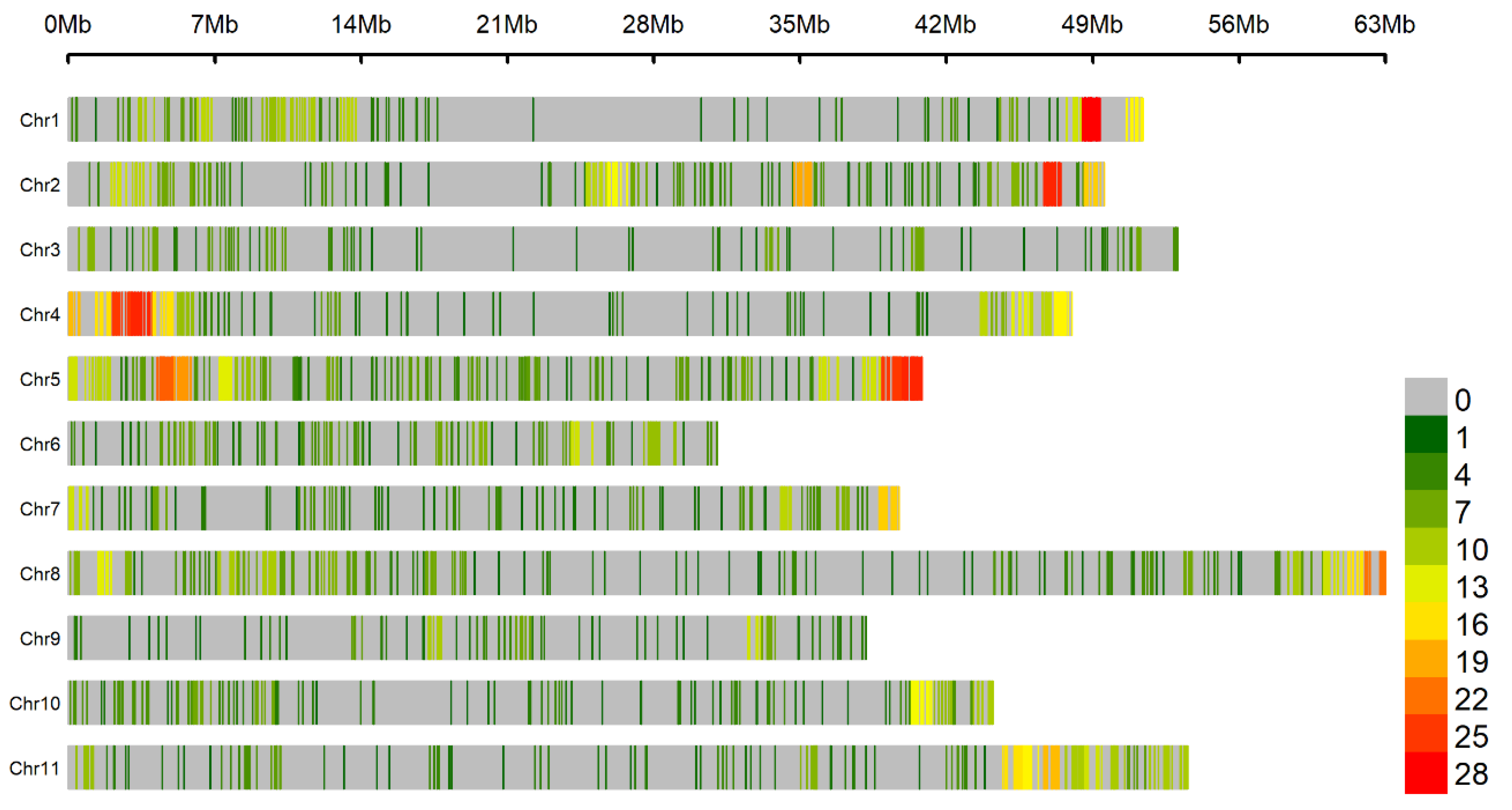 Genes 12 00765 g002 Genes 12 00765 g002