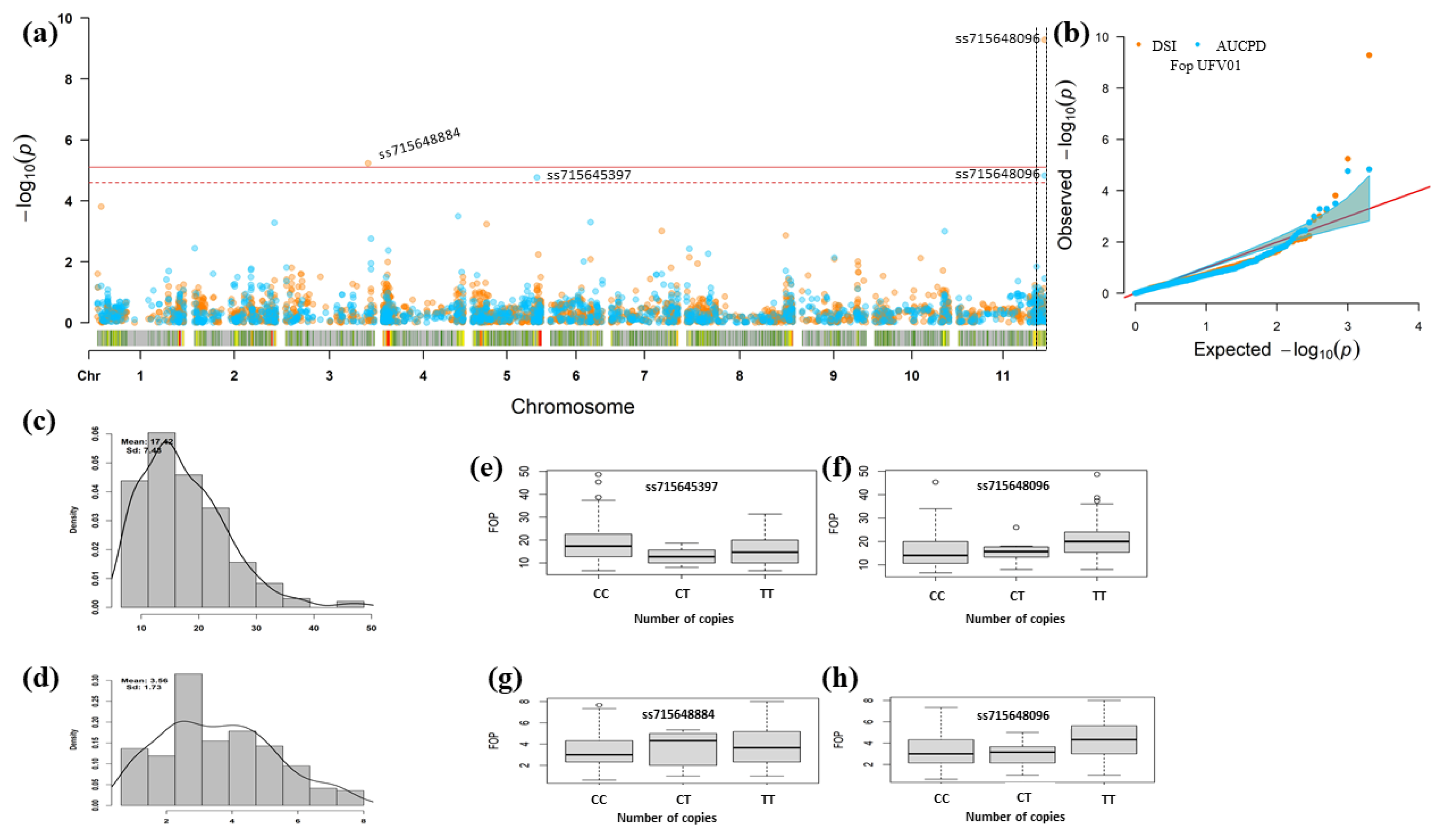 Genes 12 00765 g005 Genes 12 00765 g005