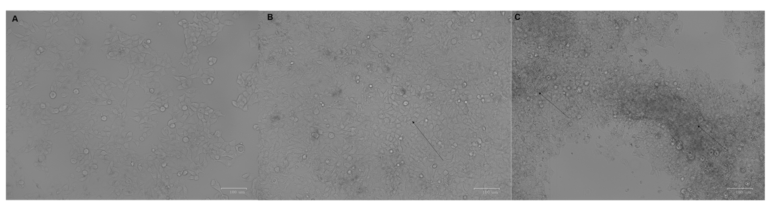 Genes 12 00777 g001 Genes 12 00777 g001