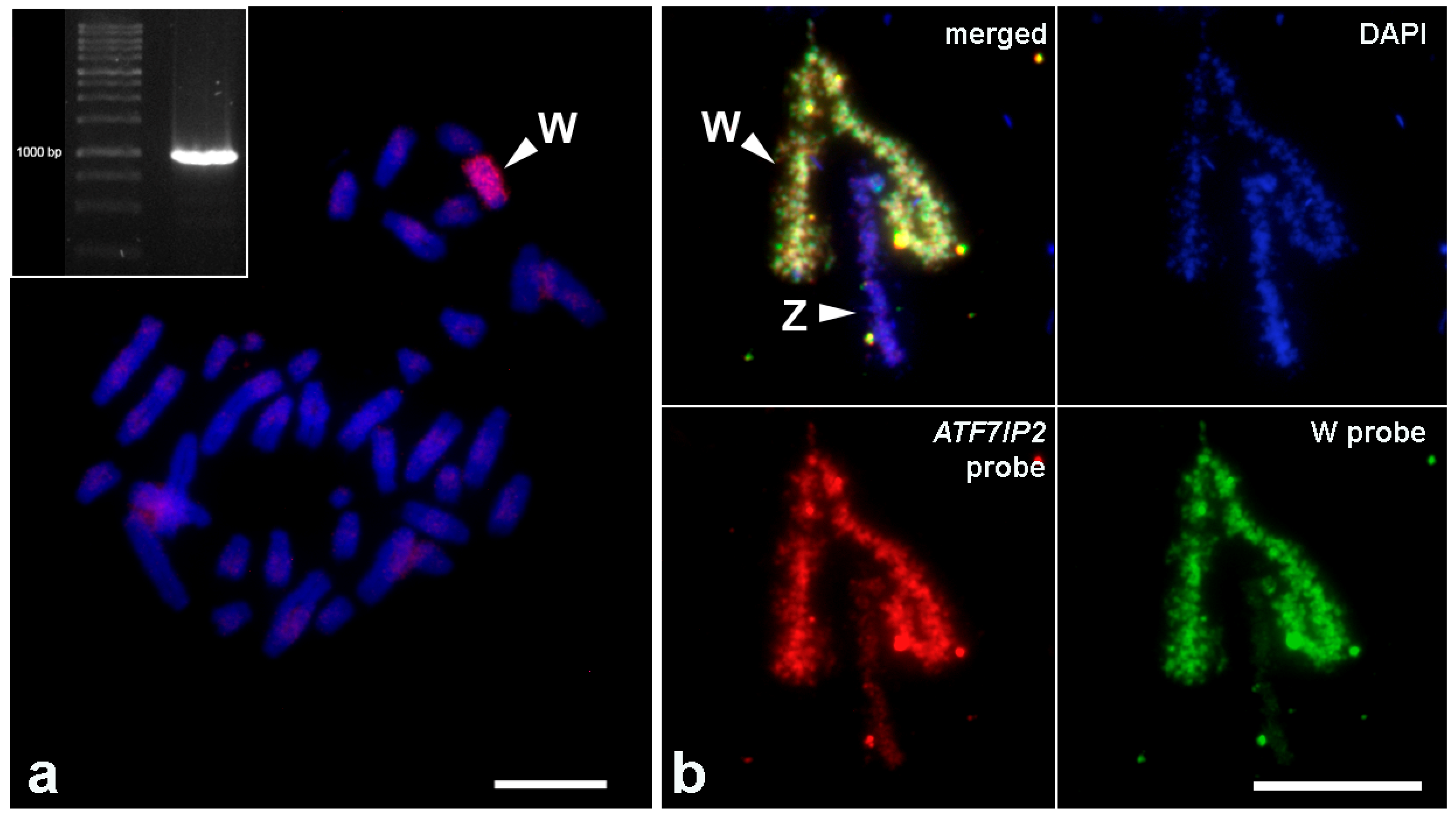 Genes 12 00779 g003