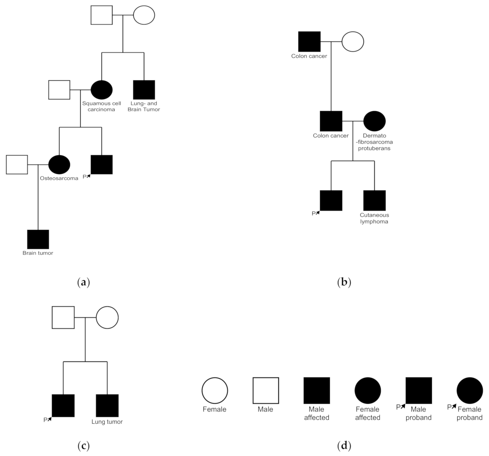 Genes 12 00781 g003 Genes 12 00781 g003