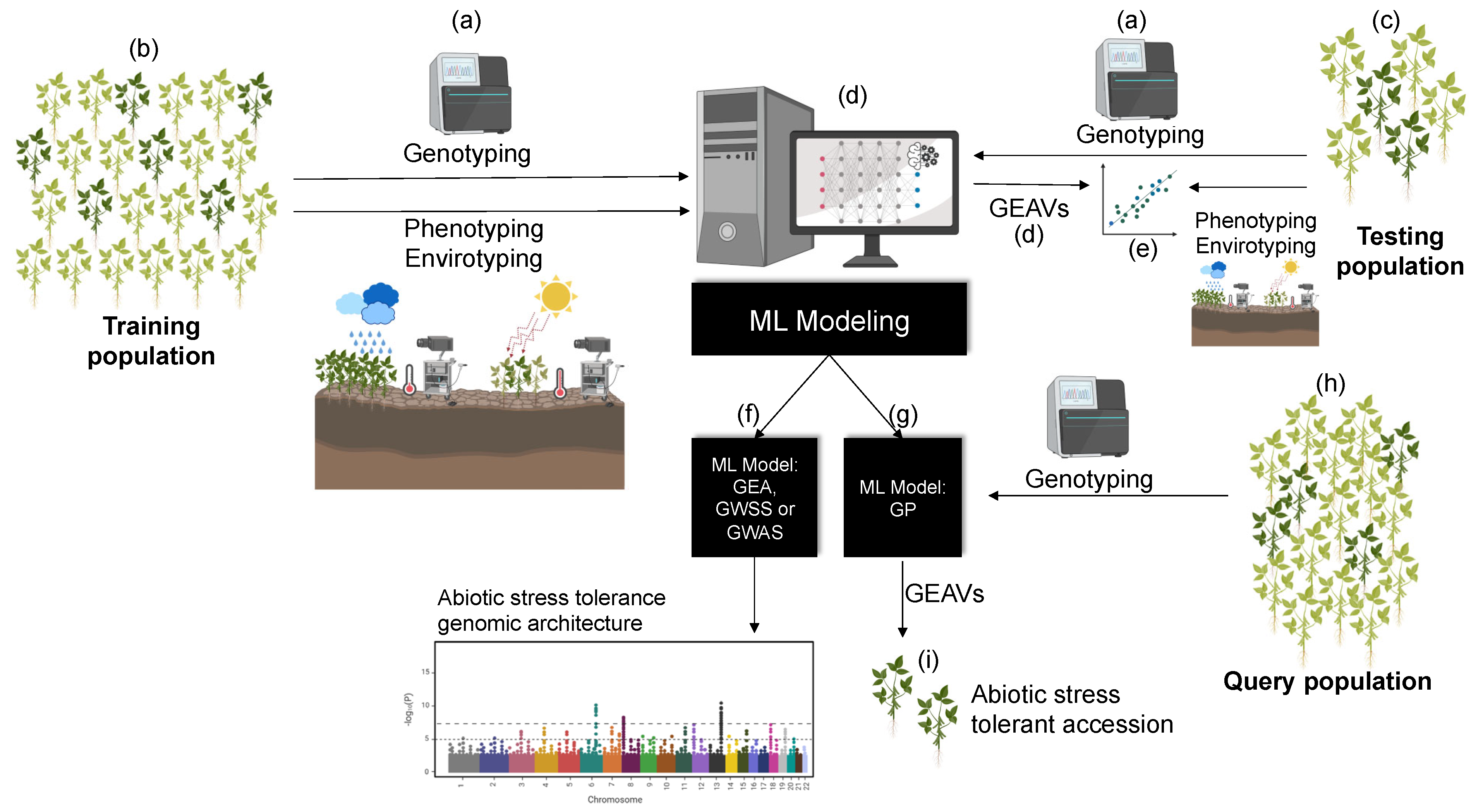 Genes 12 00783 g002 Genes 12 00783 g002