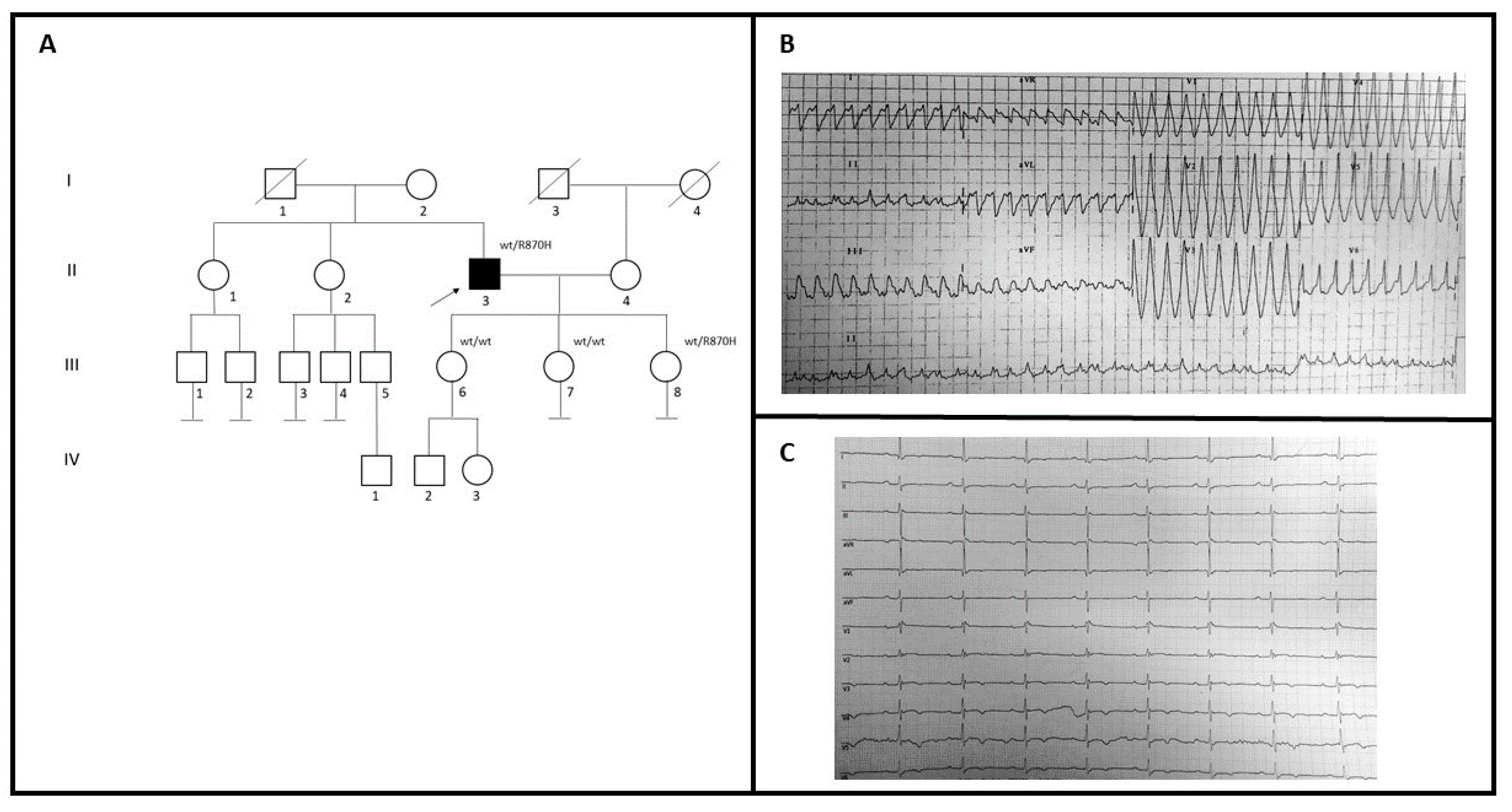 Genes 12 00793 g002 Genes 12 00793 g002