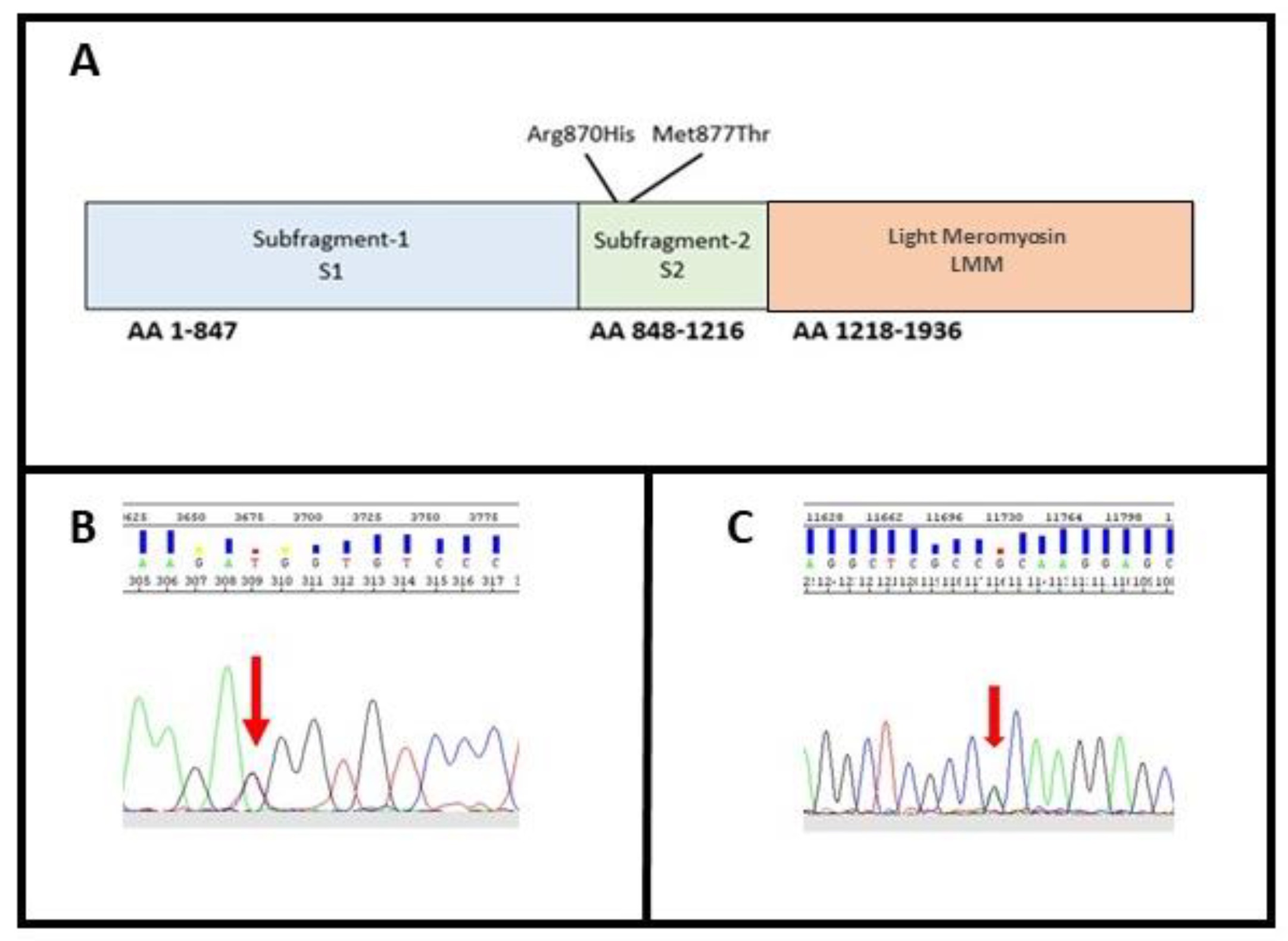 Genes 12 00793 g003 Genes 12 00793 g003