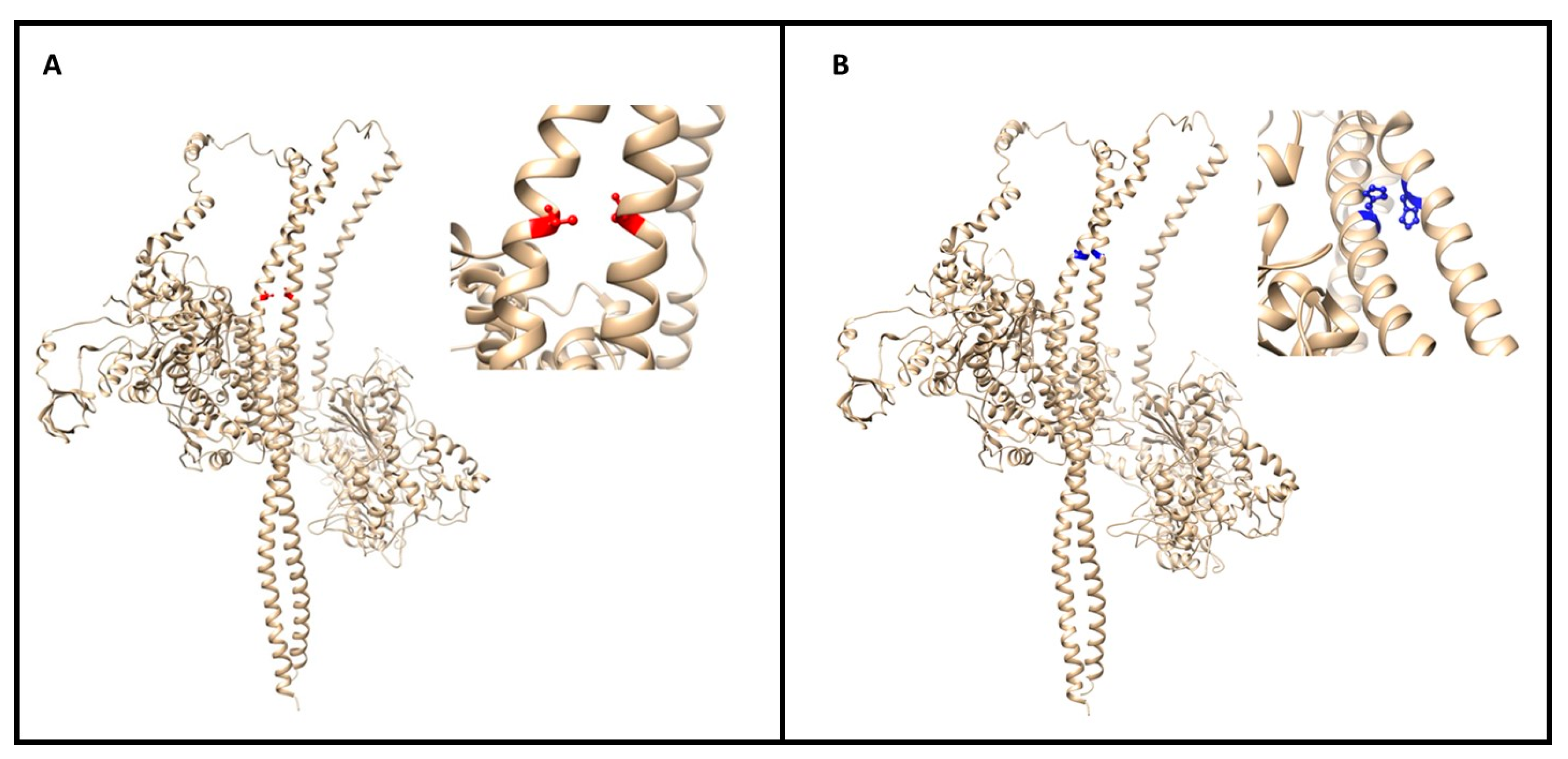 Genes 12 00793 g004 Genes 12 00793 g004