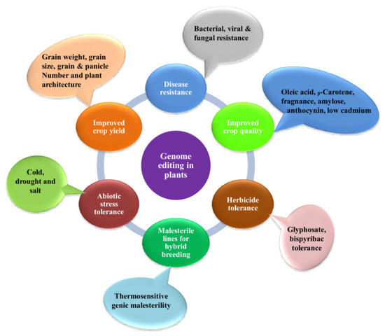 Genes Free Full Text Crispr Based Genome Editing Tools Insights Into Technological Breakthroughs And Future Challenges Html