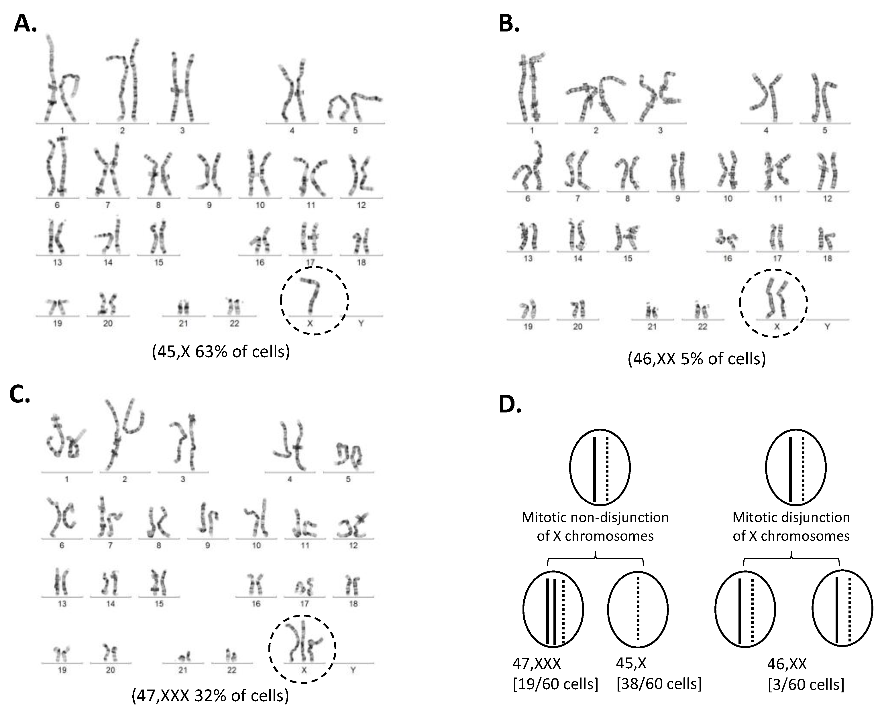 Genes 12 00798 g003 Genes 12 00798 g003
